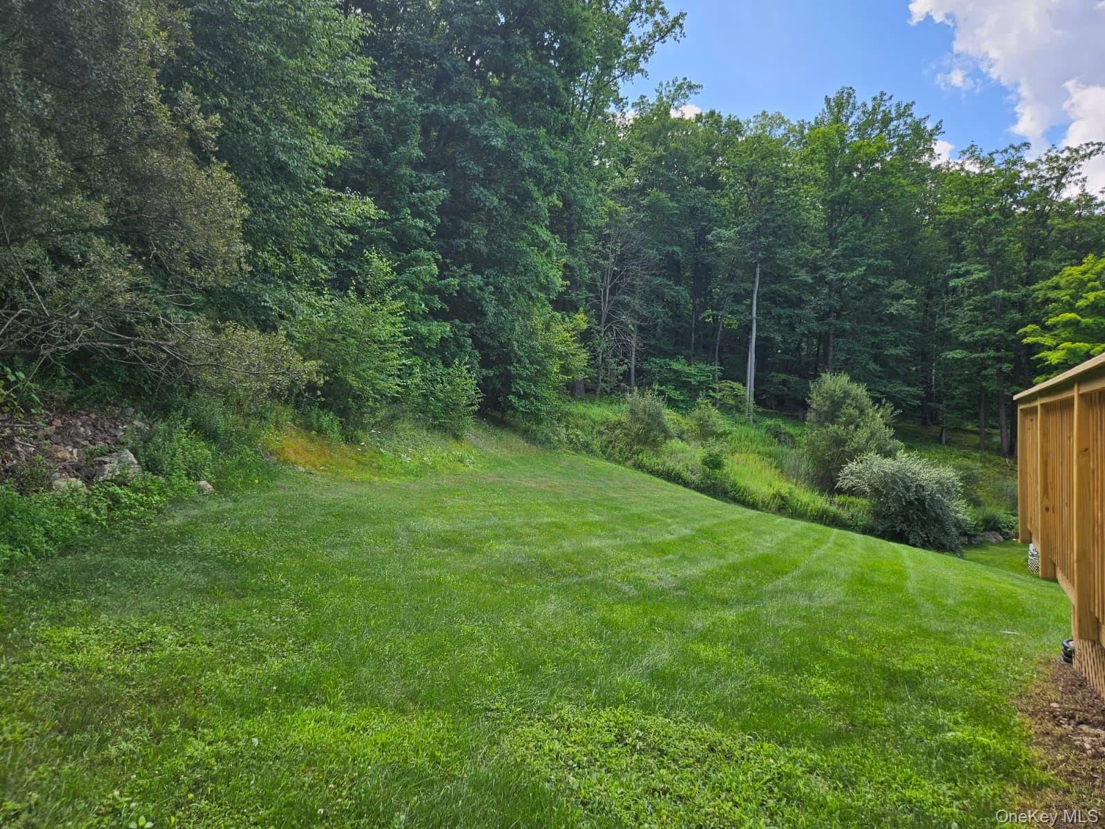 Backyard from patio Backyard from patio