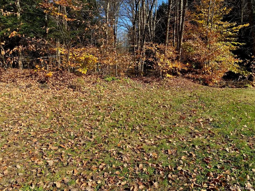 141 Gale Road, Bethel, NY, 2 Bedrooms Bedrooms, 4 Rooms Rooms,1 BathroomBathrooms,Residential Lease,For Rent,Gale,0,981445 141 Gale Road, Bethel, NY, 2 Bedrooms Bedrooms, 4 Rooms Rooms,1 BathroomBathrooms,Residential Lease,For Rent,Gale,0,981445
