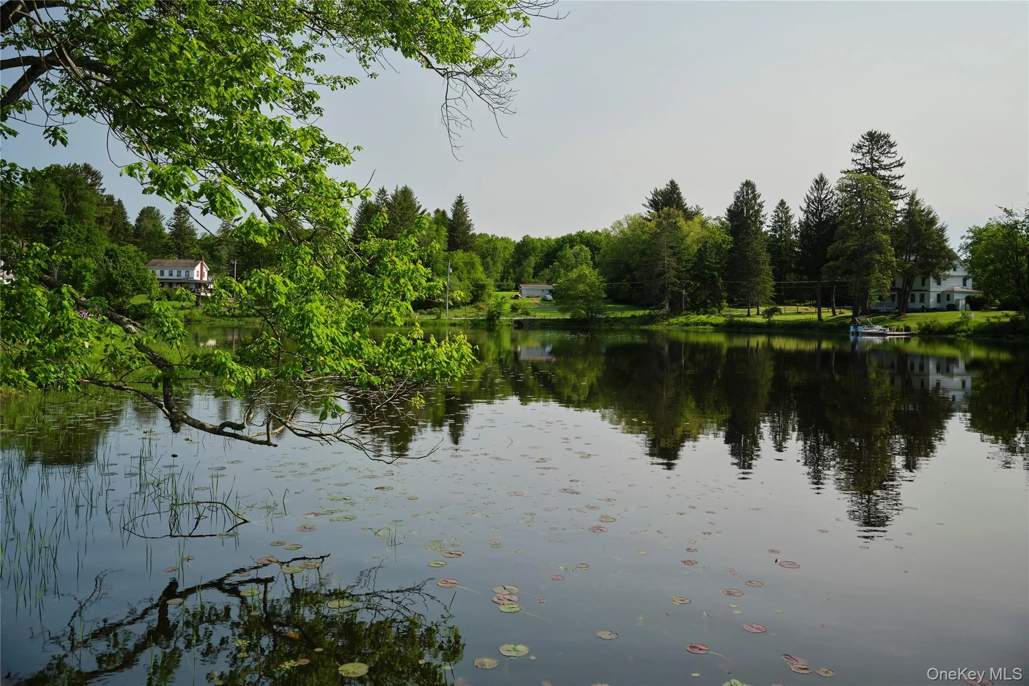 Water view with a heavily wooded area Water view with a heavily wooded area