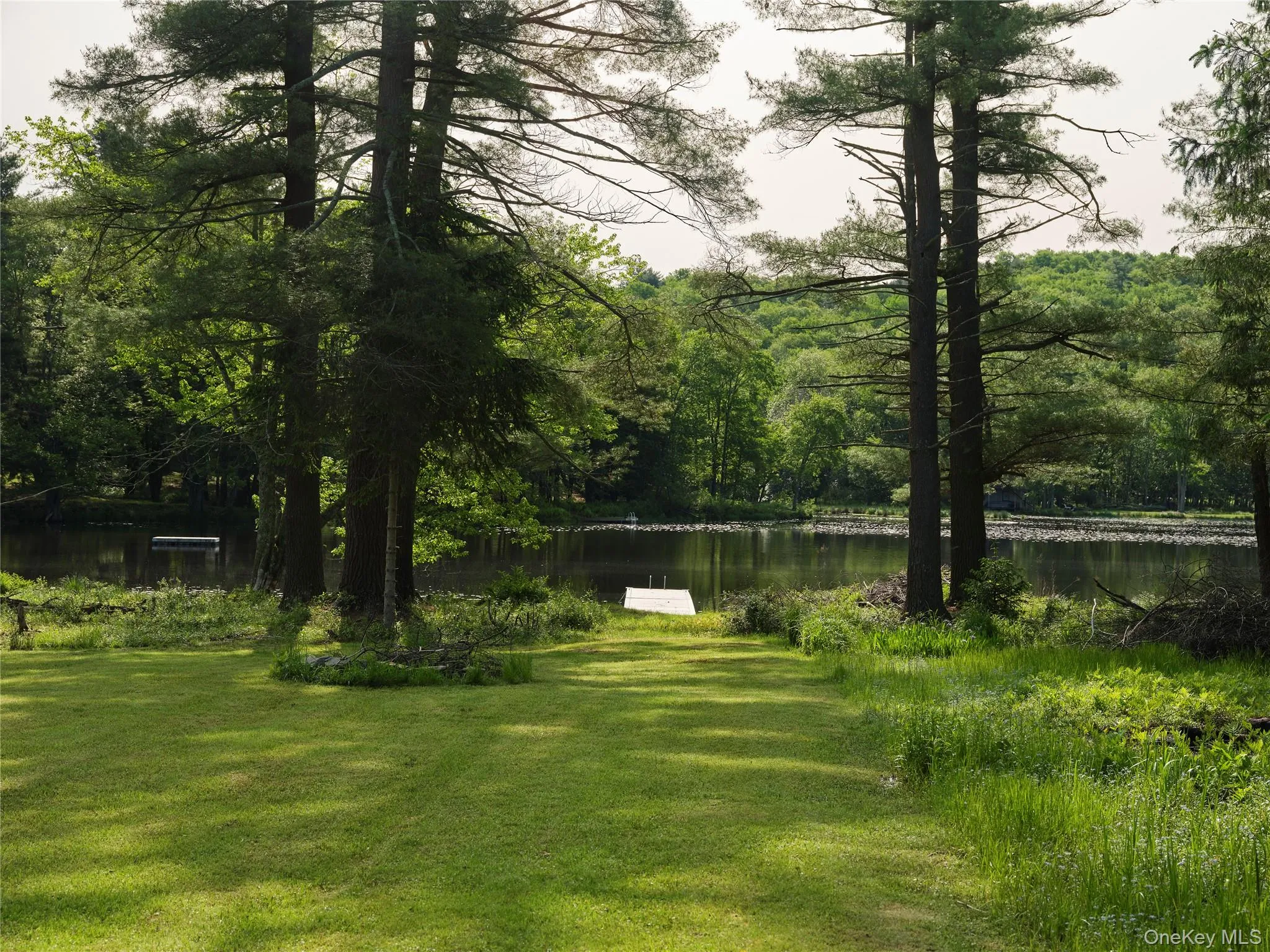 View of green lawn featuring a water view and a forest view View of green lawn featuring a water view and a forest view