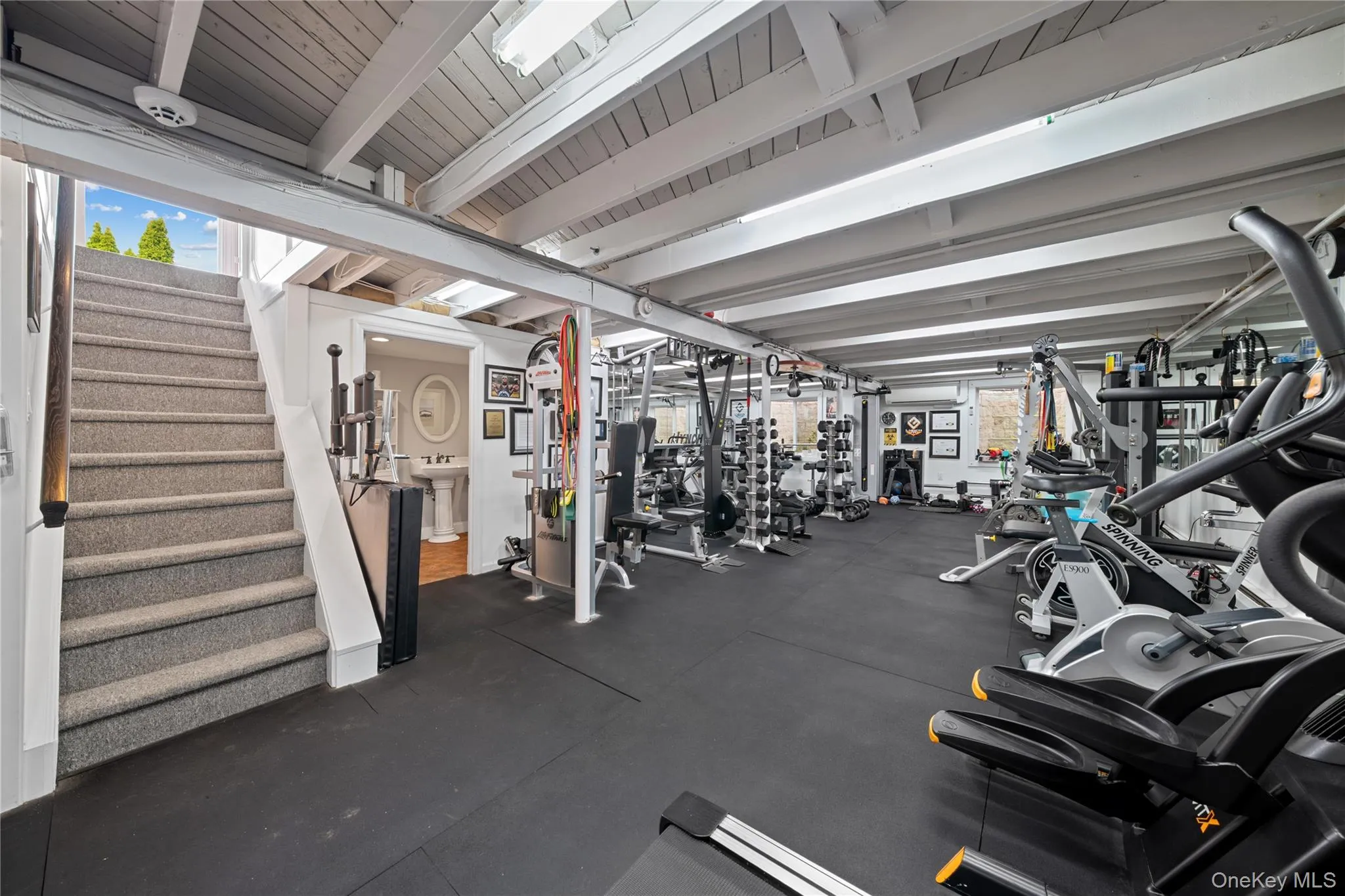 Professional gym Professional gym