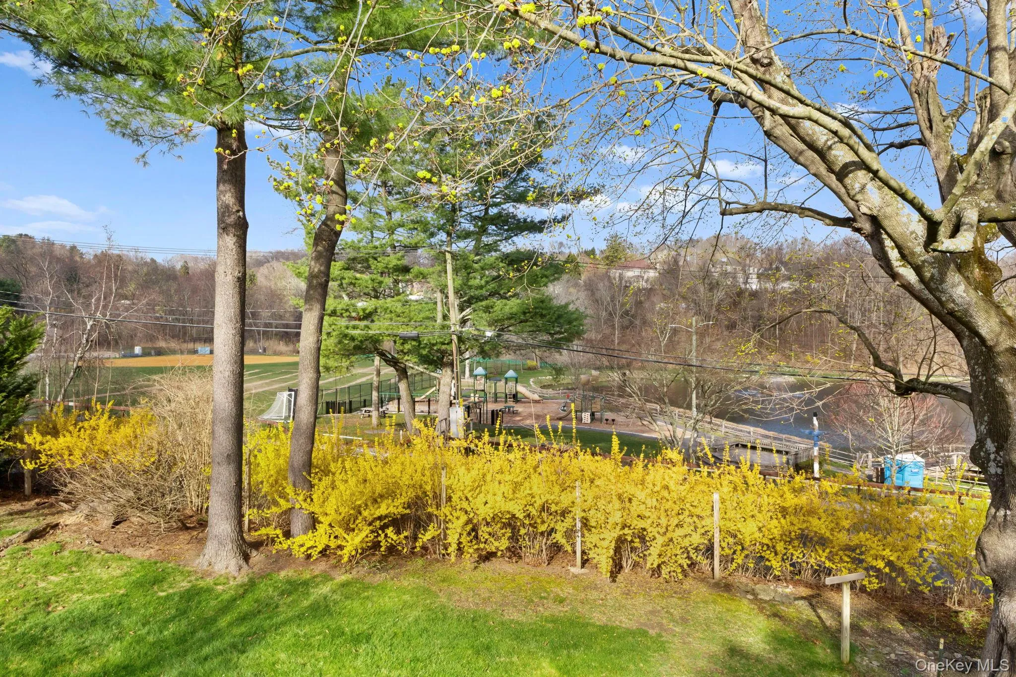 View of Park from Balcony View of Park from Balcony