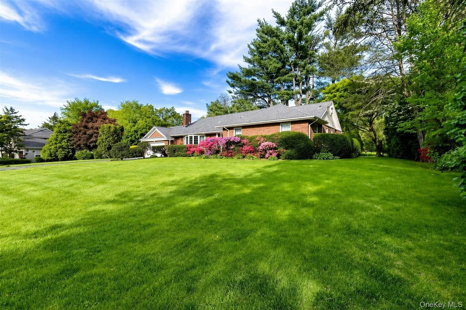 View of grassy yard View of grassy yard