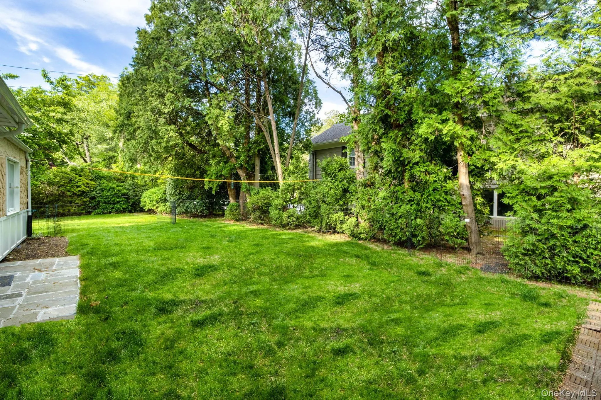 View of grassy yard View of grassy yard