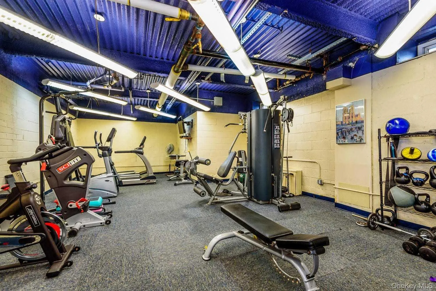 Save on your Gym Membership! Save on your Gym Membership!