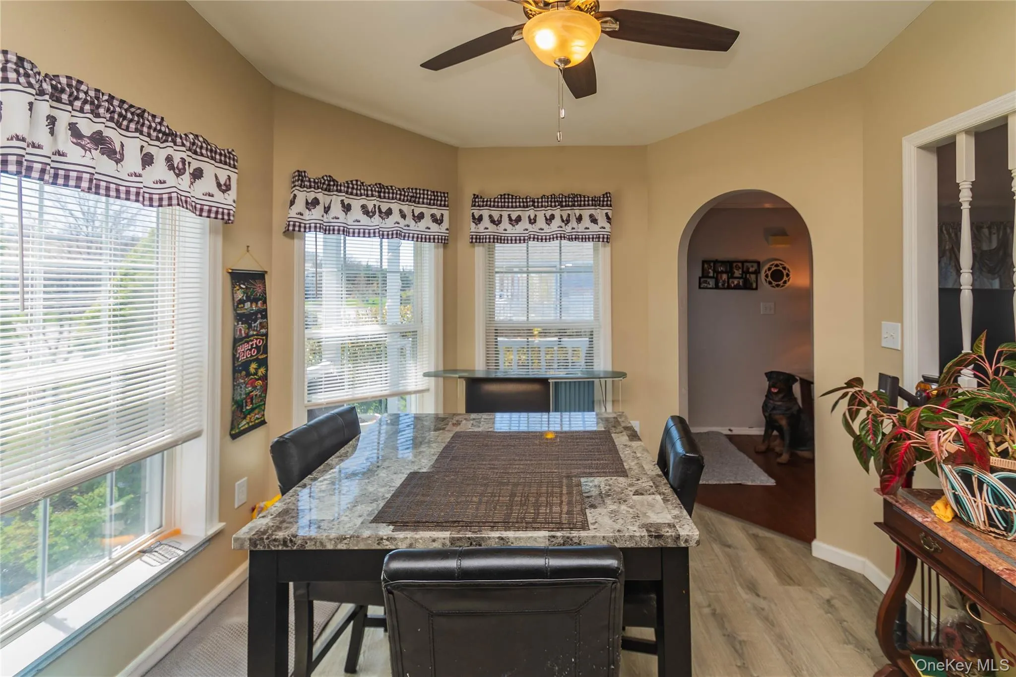 19 Biscayne Blvd, Poughkeepsie (town), NY, 3 Bedrooms Bedrooms, 7 Rooms Rooms,2 BathroomsBathrooms,Residential,For Rent,Biscayne Blvd,0,981621 19 Biscayne Blvd, Poughkeepsie (town), NY, 3 Bedrooms Bedrooms, 7 Rooms Rooms,2 BathroomsBathrooms,Residential,For Rent,Biscayne Blvd,0,981621