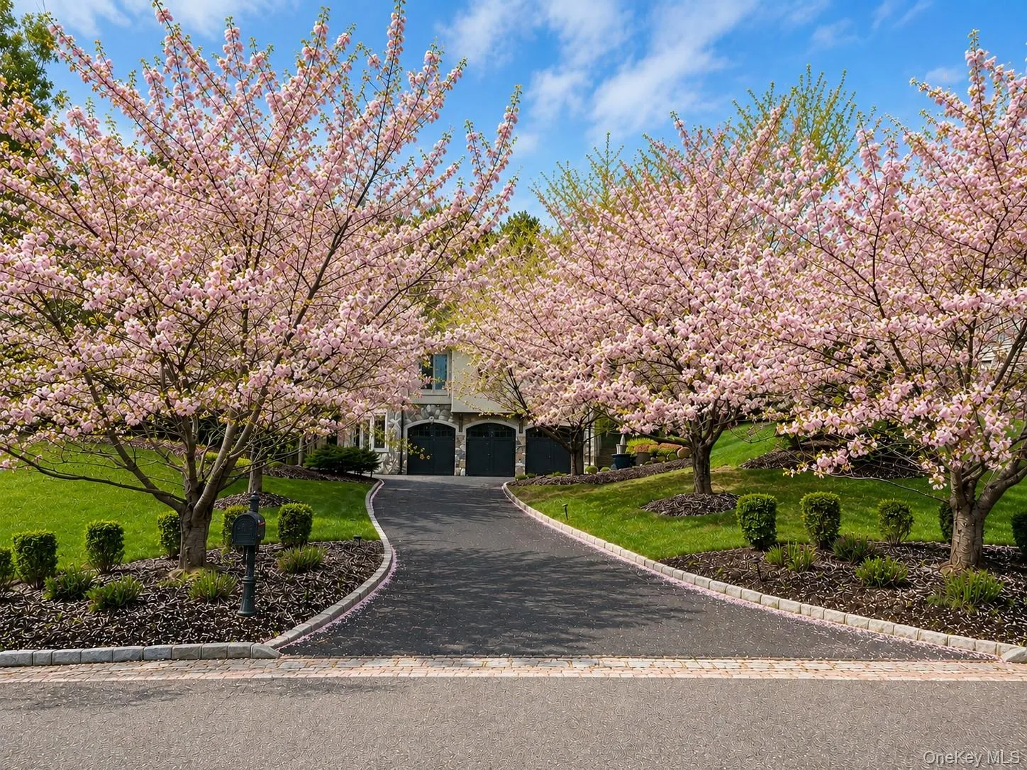 Driveway Driveway