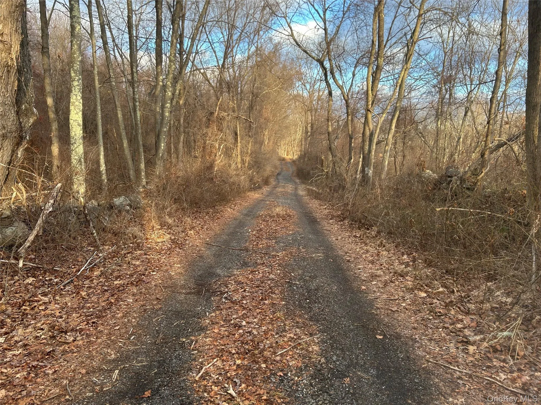 View of road View of road