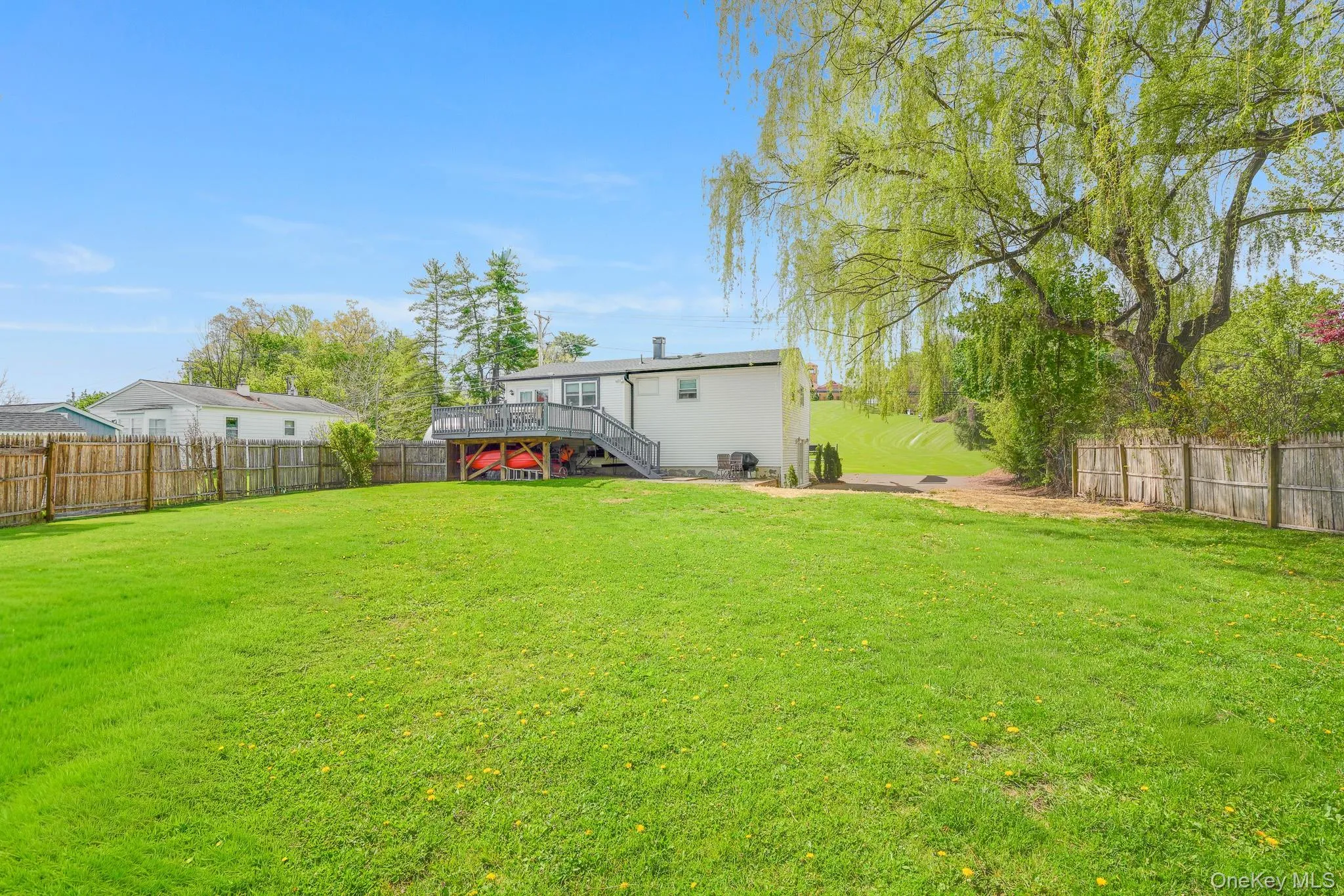 Expansive green lawn framed by a wooden fence, featuring a large mature tree and a rear deck with stairs descending to the yard Expansive green lawn framed by a wooden fence, featuring a large mature tree and a rear deck with stairs descending to the yard