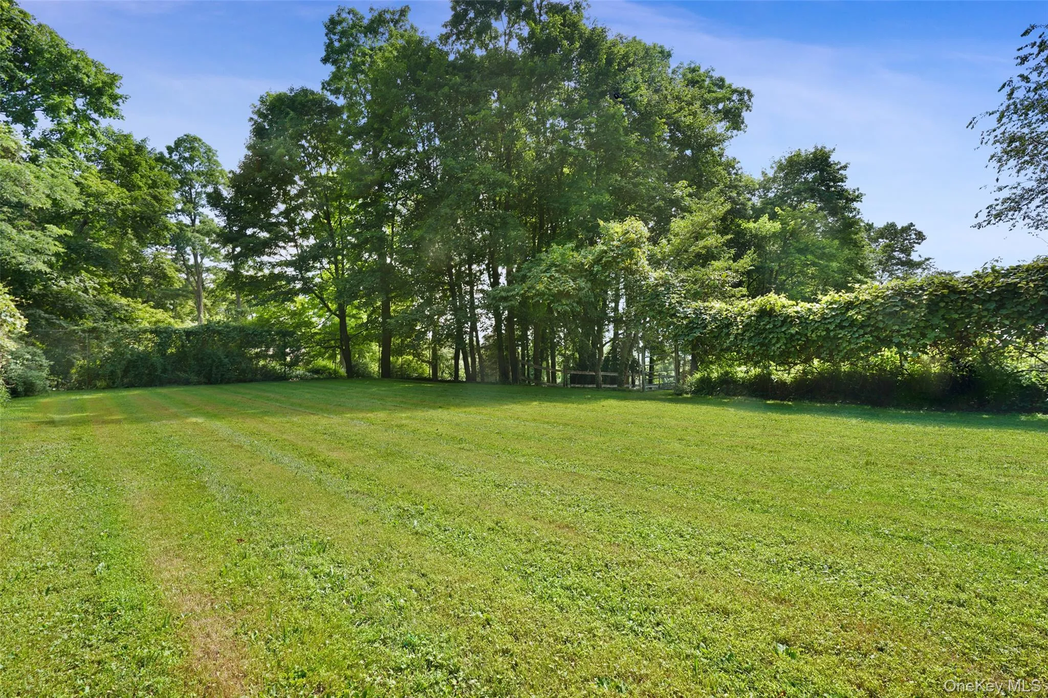 283-289 Starr Ridge Road, Southeast, NY, 9 Bedrooms Bedrooms, 10 Rooms Rooms,6 BathroomsBathrooms,Residential,For Rent,Starr Ridge,0,981686 283-289 Starr Ridge Road, Southeast, NY, 9 Bedrooms Bedrooms, 10 Rooms Rooms,6 BathroomsBathrooms,Residential,For Rent,Starr Ridge,0,981686