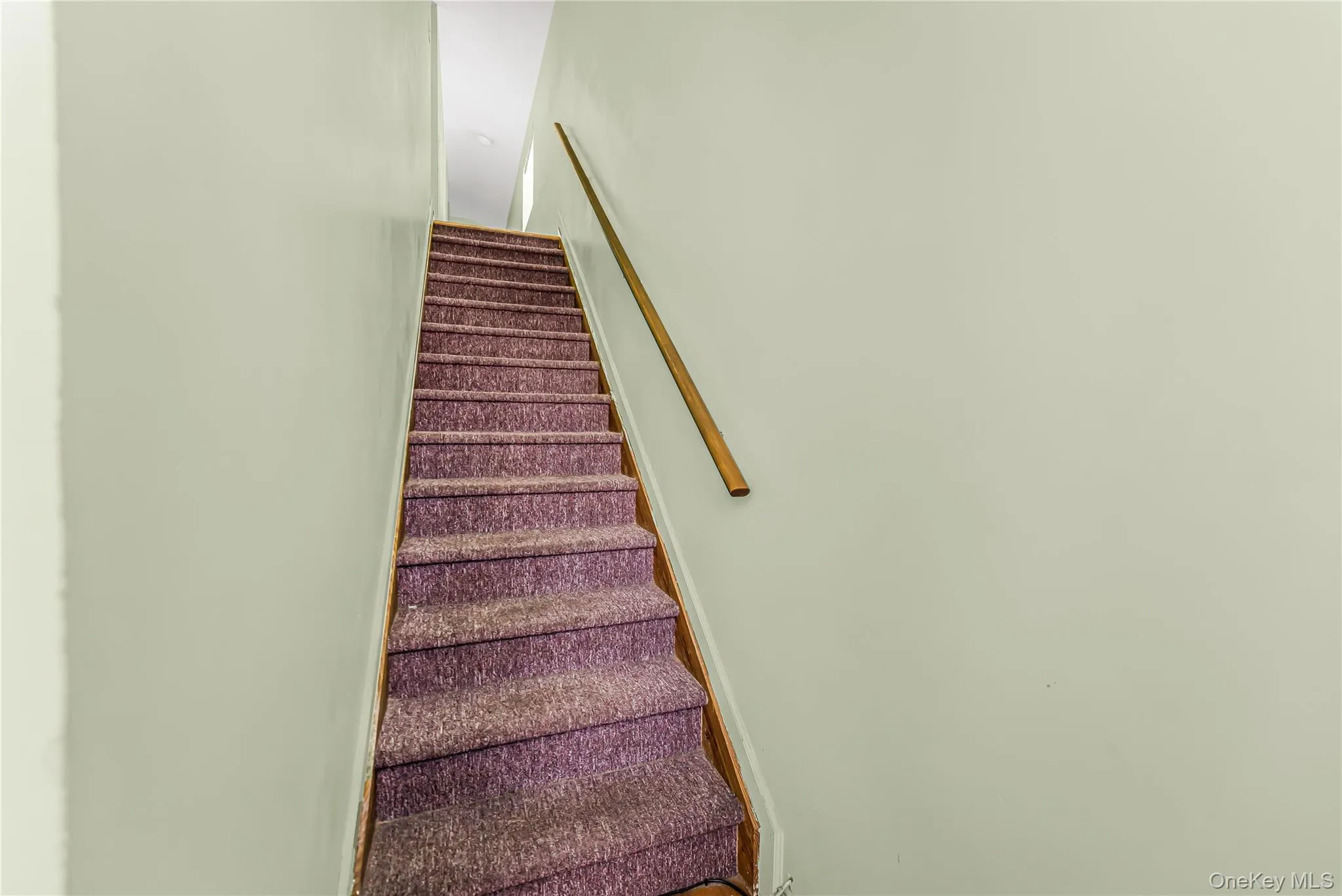 2515 Woodhull Avenue, New York, NY, 3 Bedrooms Bedrooms, 5 Rooms Rooms,2 BathroomsBathrooms,Residential,For Rent,Woodhull,0,981765 2515 Woodhull Avenue, New York, NY, 3 Bedrooms Bedrooms, 5 Rooms Rooms,2 BathroomsBathrooms,Residential,For Rent,Woodhull,0,981765