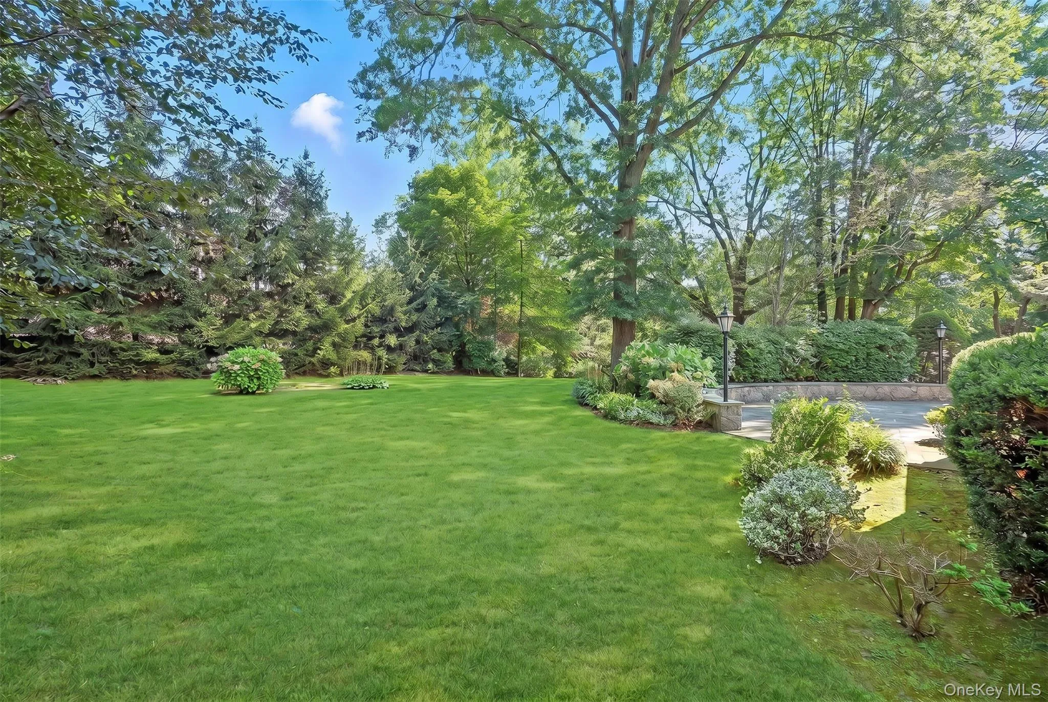 Expansive Yard with Plenty of Room to Play Expansive Yard with Plenty of Room to Play