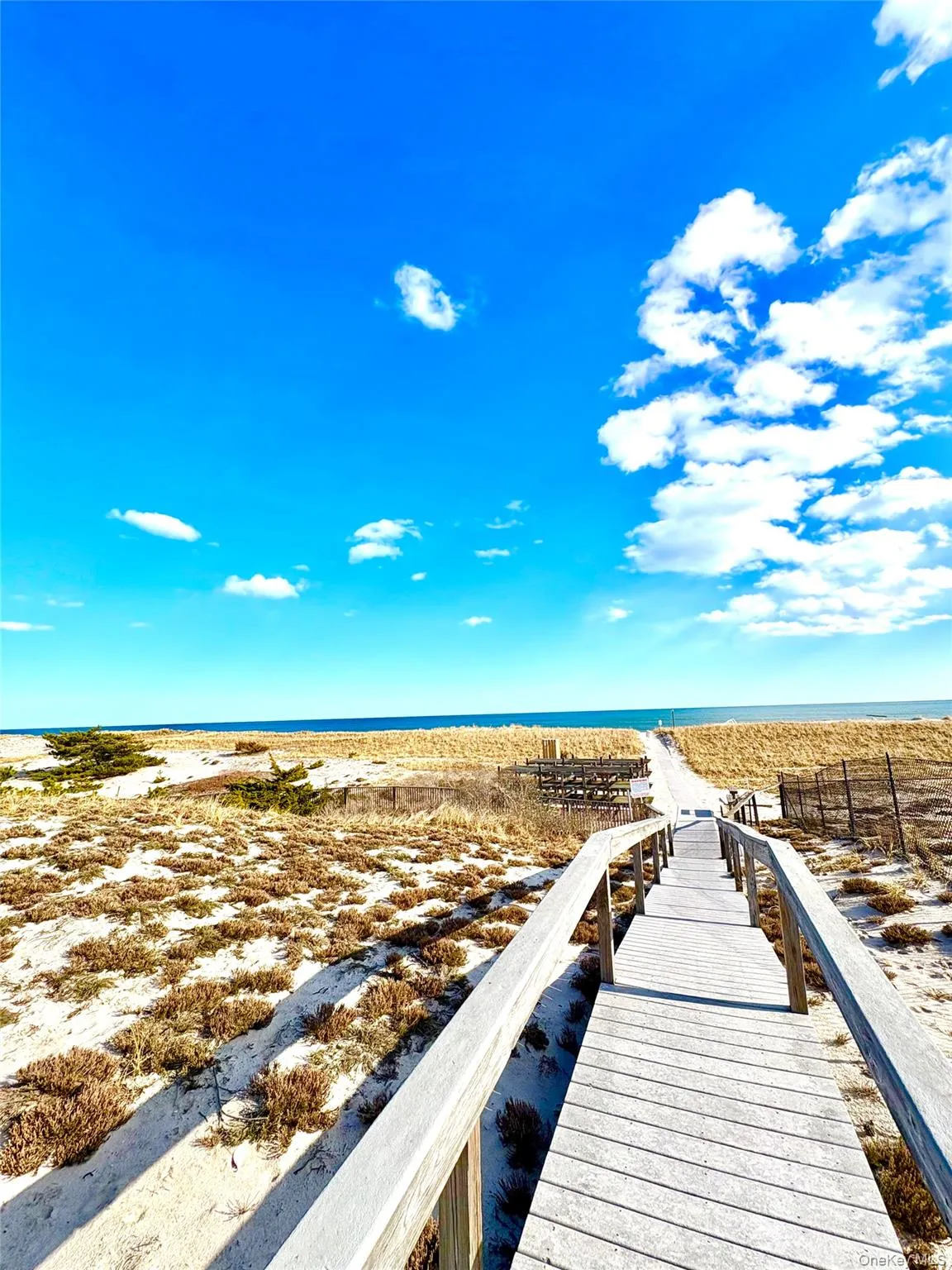 253 Dune, Southampton, NY, 2 Bedrooms Bedrooms, 4 Rooms Rooms,2 BathroomsBathrooms,Residential Lease,For Rent,Dune,0,981976 253 Dune, Southampton, NY, 2 Bedrooms Bedrooms, 4 Rooms Rooms,2 BathroomsBathrooms,Residential Lease,For Rent,Dune,0,981976