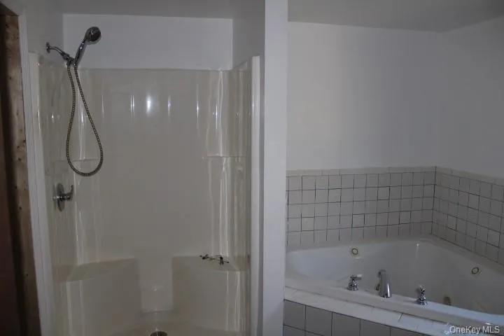 Full bath with a tub with jets and a shower Full bath with a tub with jets and a shower