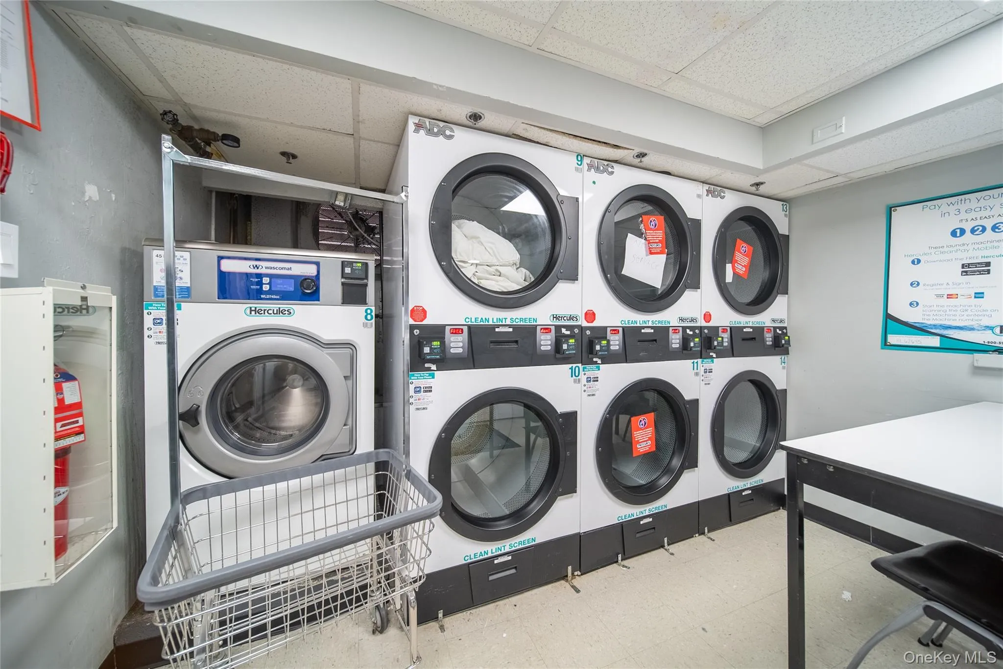 99-41 64th Avenue, New York, NY, 1 Bedroom Bedrooms, 5 Rooms Rooms,1 BathroomBathrooms,Residential,For Rent,64th,0,982023 99-41 64th Avenue, New York, NY, 1 Bedroom Bedrooms, 5 Rooms Rooms,1 BathroomBathrooms,Residential,For Rent,64th,0,982023