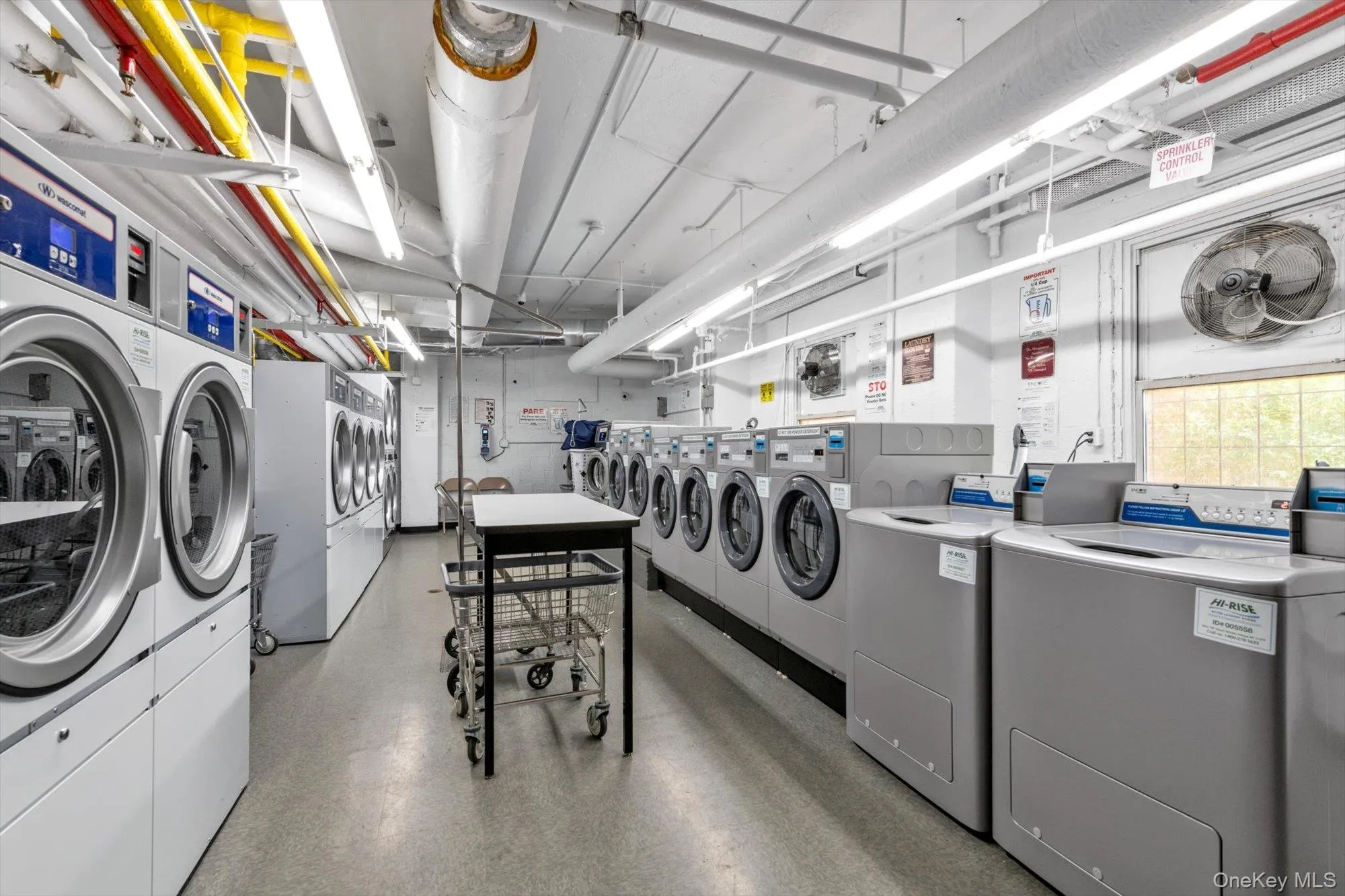 97-10 62 Drive, New York, NY, 2 Bedrooms Bedrooms, 4 Rooms Rooms,1 BathroomBathrooms,Residential,For Rent,62,0,982118 97-10 62 Drive, New York, NY, 2 Bedrooms Bedrooms, 4 Rooms Rooms,1 BathroomBathrooms,Residential,For Rent,62,0,982118