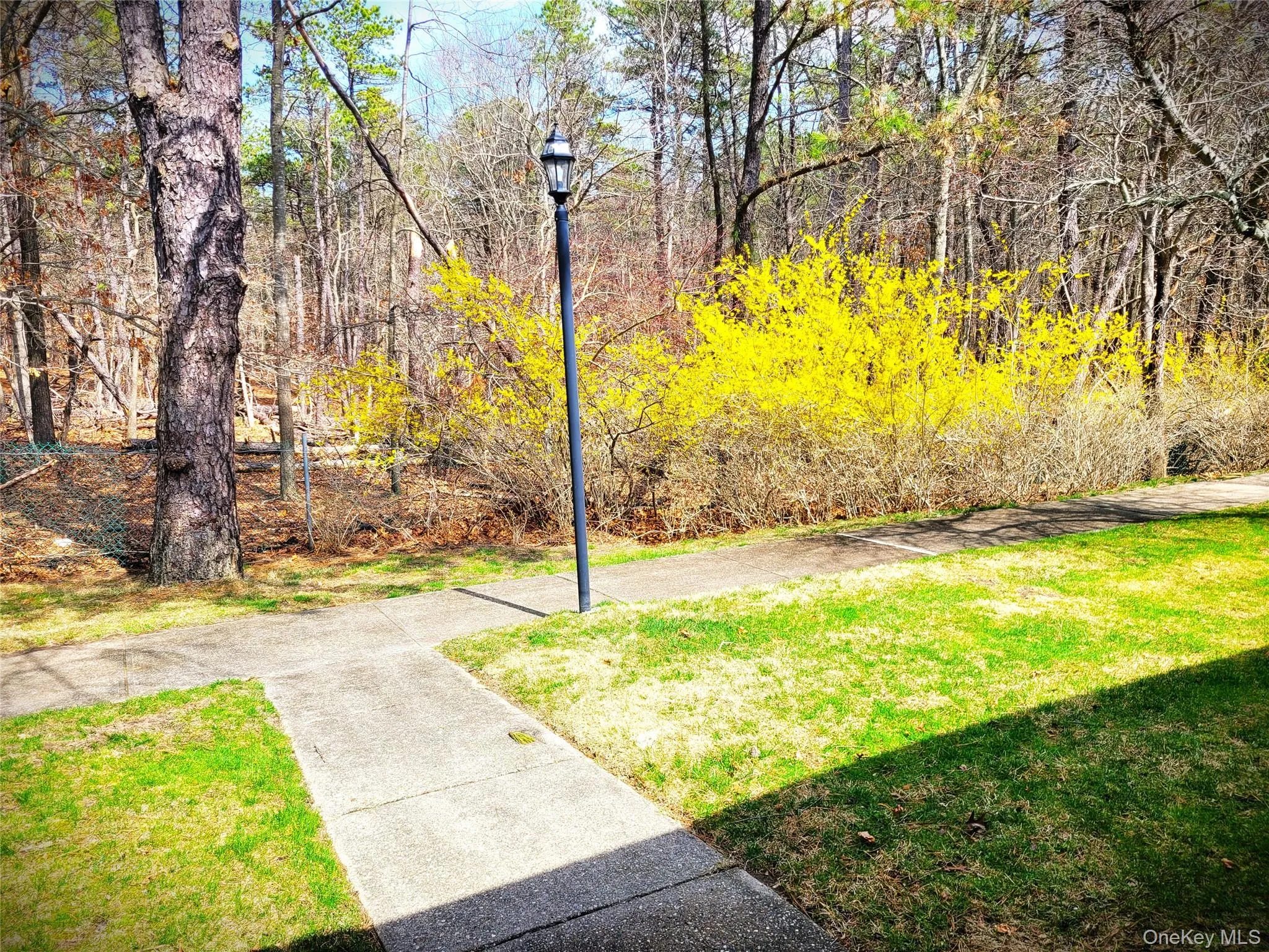 375 Woodbridge Drive, Brookhaven, NY, 2 Bedrooms Bedrooms, 6 Rooms Rooms,1 BathroomBathrooms,Residential Sale,For Rent,Woodbridge,0,982246 375 Woodbridge Drive, Brookhaven, NY, 2 Bedrooms Bedrooms, 6 Rooms Rooms,1 BathroomBathrooms,Residential Sale,For Rent,Woodbridge,0,982246