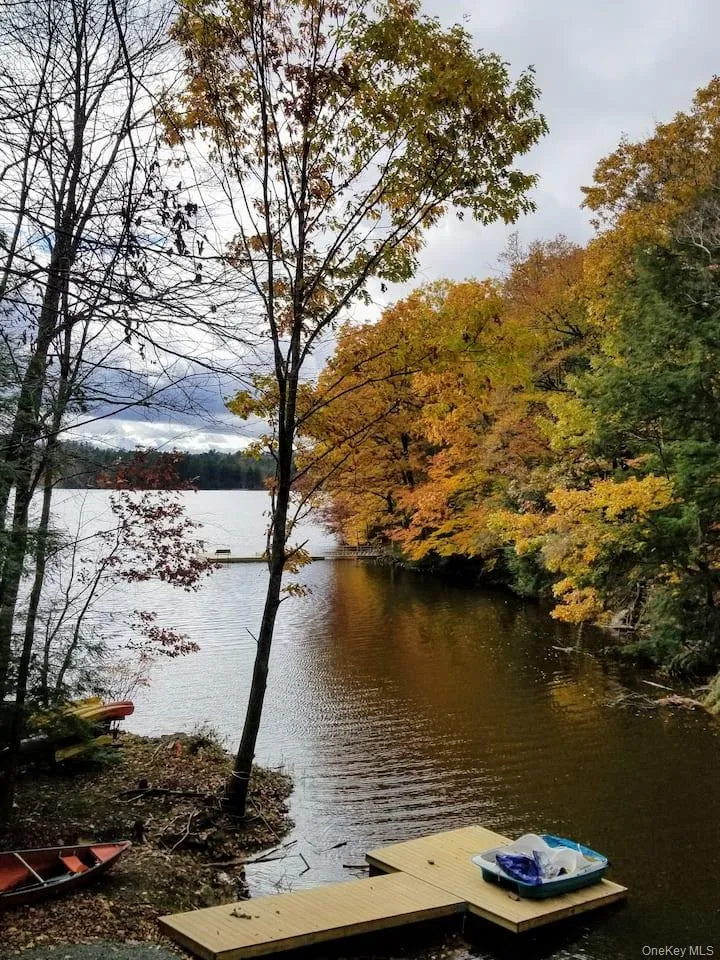 221 Starlight Road, Thompson, NY, 3 Bedrooms Bedrooms, 7 Rooms Rooms,2 BathroomsBathrooms,Residential,For Rent,Starlight,0,982249 221 Starlight Road, Thompson, NY, 3 Bedrooms Bedrooms, 7 Rooms Rooms,2 BathroomsBathrooms,Residential,For Rent,Starlight,0,982249