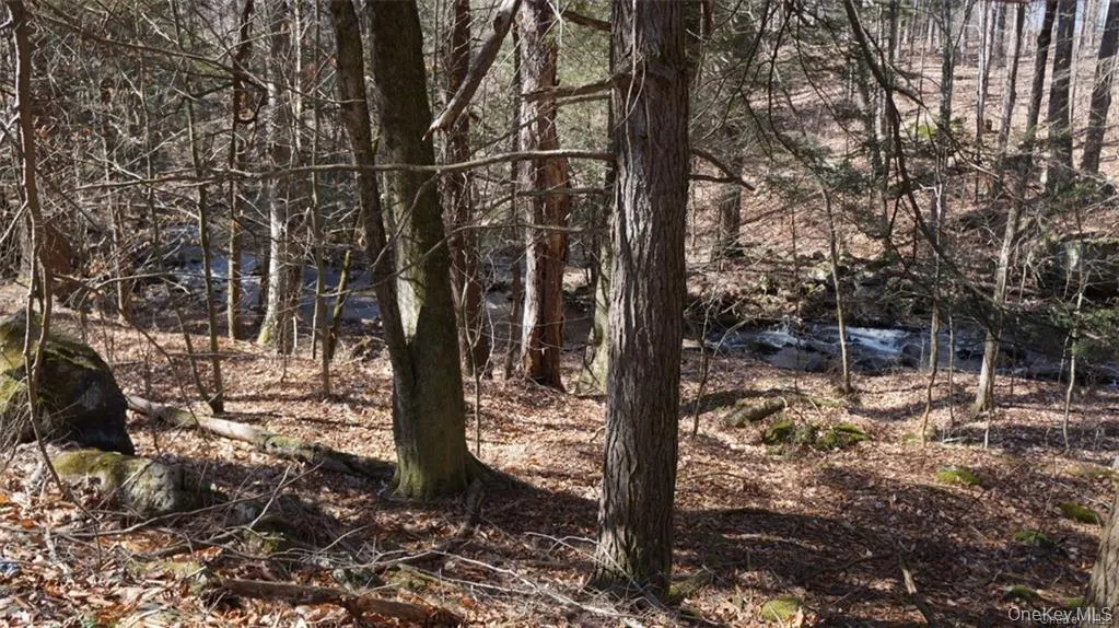 221 Starlight Road, Thompson, NY, 3 Bedrooms Bedrooms, 7 Rooms Rooms,2 BathroomsBathrooms,Residential,For Rent,Starlight,0,982249 221 Starlight Road, Thompson, NY, 3 Bedrooms Bedrooms, 7 Rooms Rooms,2 BathroomsBathrooms,Residential,For Rent,Starlight,0,982249
