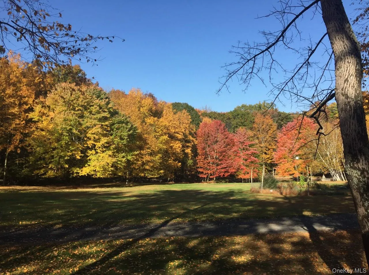98 Vly Atwood, Marbletown, NY, 2 Bedrooms Bedrooms, 4 Rooms Rooms,1 BathroomBathrooms,Residential Lease,For Rent,Vly Atwood,0,982392 98 Vly Atwood, Marbletown, NY, 2 Bedrooms Bedrooms, 4 Rooms Rooms,1 BathroomBathrooms,Residential Lease,For Rent,Vly Atwood,0,982392