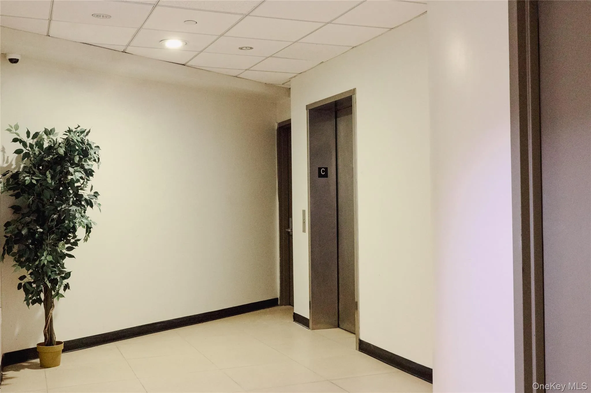 42-05 Parsons Boulevard, New York, NY, ,Commercial Lease,For Rent,Parsons,0,982473 42-05 Parsons Boulevard, New York, NY, ,Commercial Lease,For Rent,Parsons,0,982473
