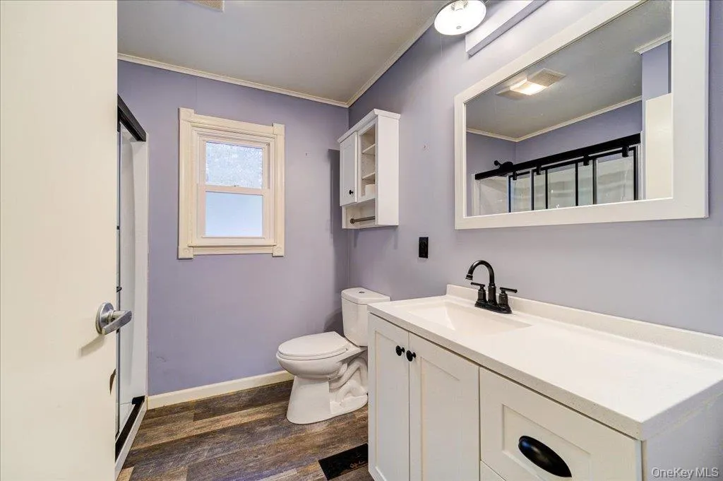 Bathroom with vanity, walk in shower, crown molding, wood-type flooring, and toilet Bathroom with vanity, walk in shower, crown molding, wood-type flooring, and toilet