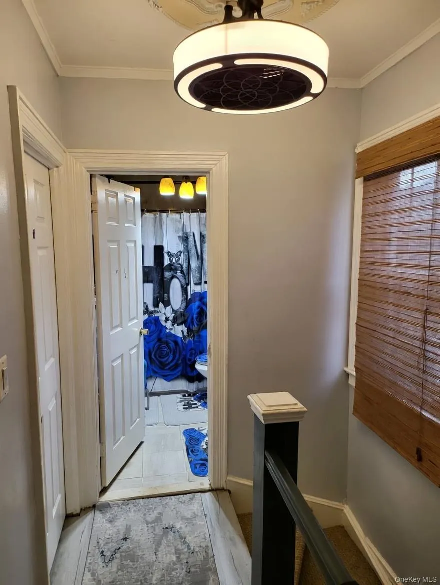 4223 Gunther Avenue, New York, NY, 3 Bedrooms Bedrooms, 13 Rooms Rooms,2 BathroomsBathrooms,Residential,For Rent,Gunther,0,982551 4223 Gunther Avenue, New York, NY, 3 Bedrooms Bedrooms, 13 Rooms Rooms,2 BathroomsBathrooms,Residential,For Rent,Gunther,0,982551
