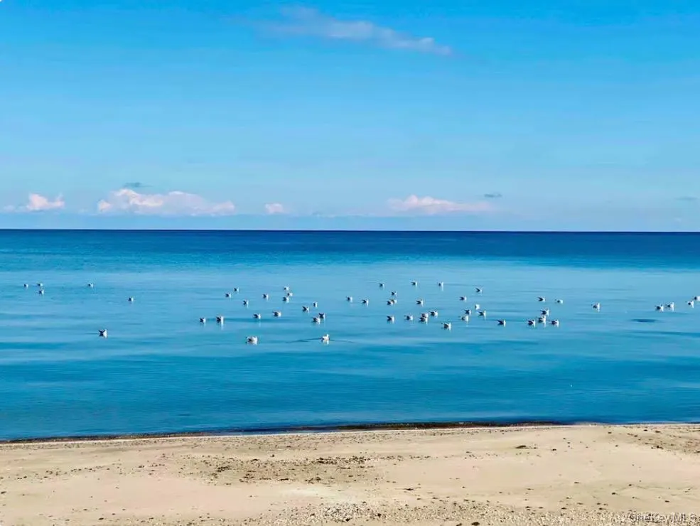 2898 Edgemere Drive, Rochester, NY, 3 Bedrooms Bedrooms, 11 Rooms Rooms,2 BathroomsBathrooms,Residential Lease,For Rent,Edgemere,0,982561 2898 Edgemere Drive, Rochester, NY, 3 Bedrooms Bedrooms, 11 Rooms Rooms,2 BathroomsBathrooms,Residential Lease,For Rent,Edgemere,0,982561