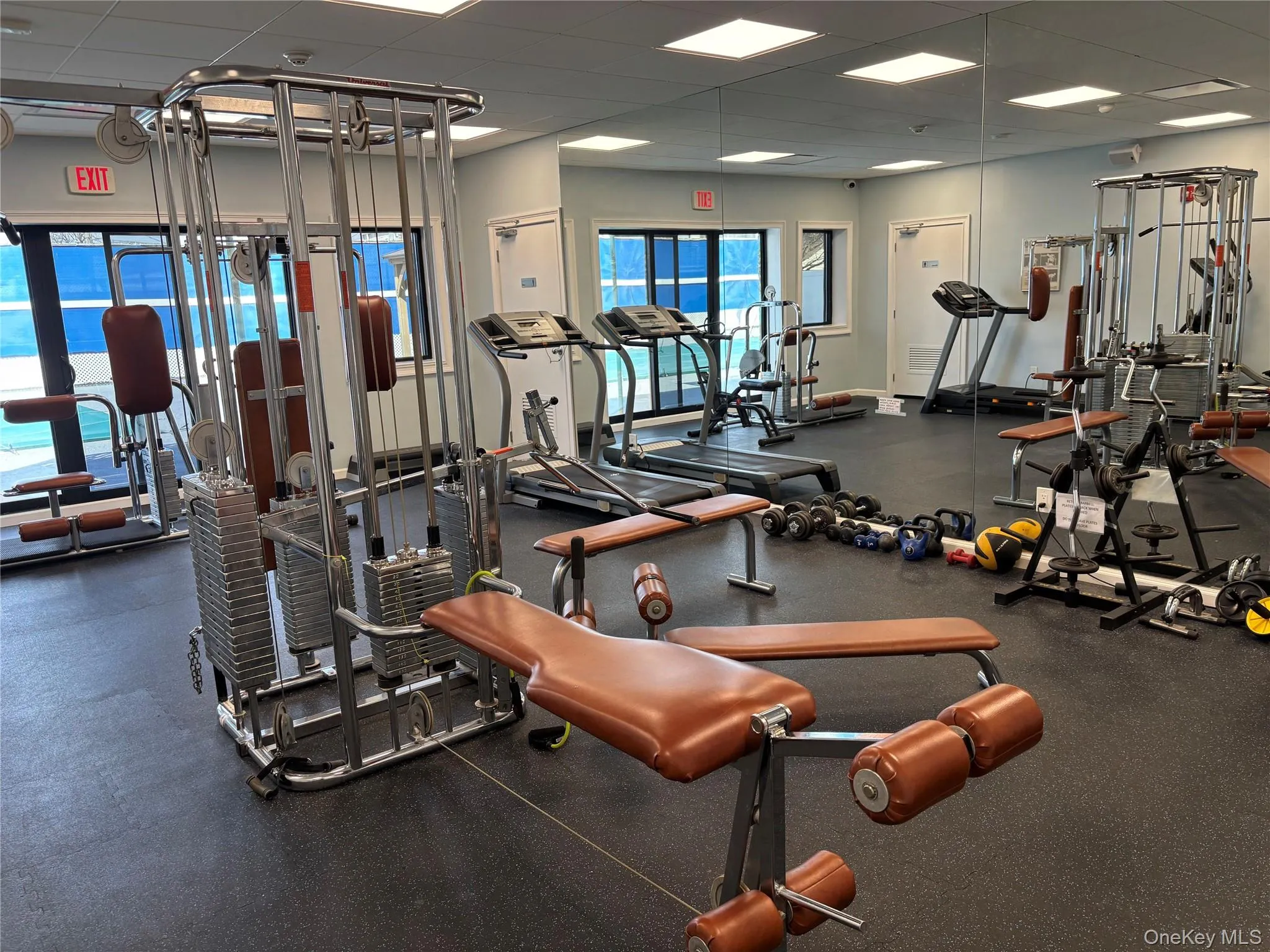 GYM GYM