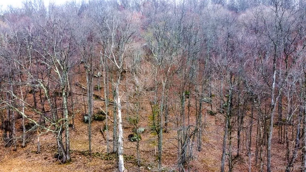 The property includes a wooded area with trees and ground cover The property includes a wooded area with trees and ground cover