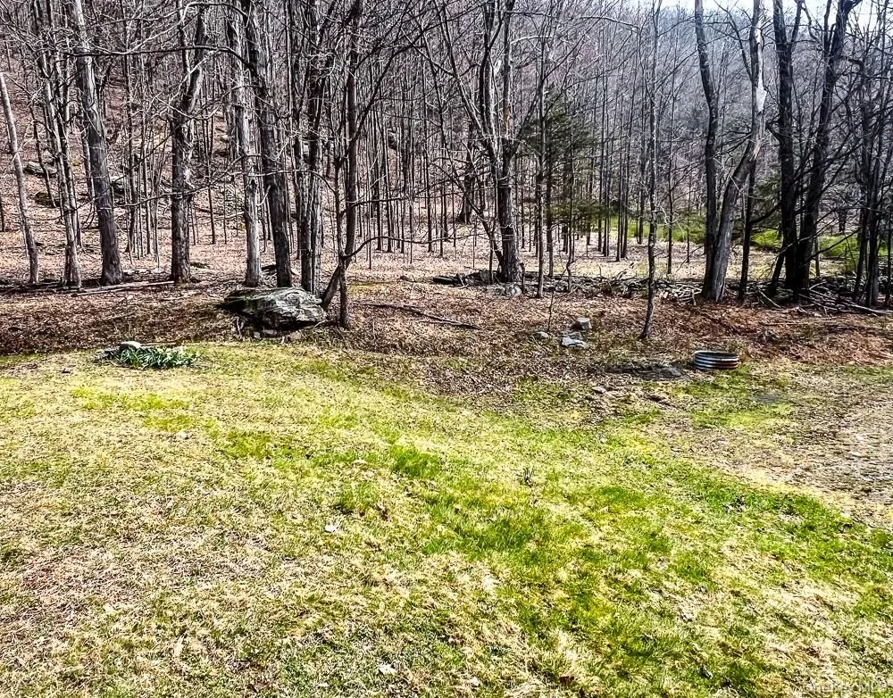 The property features a grassy area and a wooded landscape with mature trees The property features a grassy area and a wooded landscape with mature trees