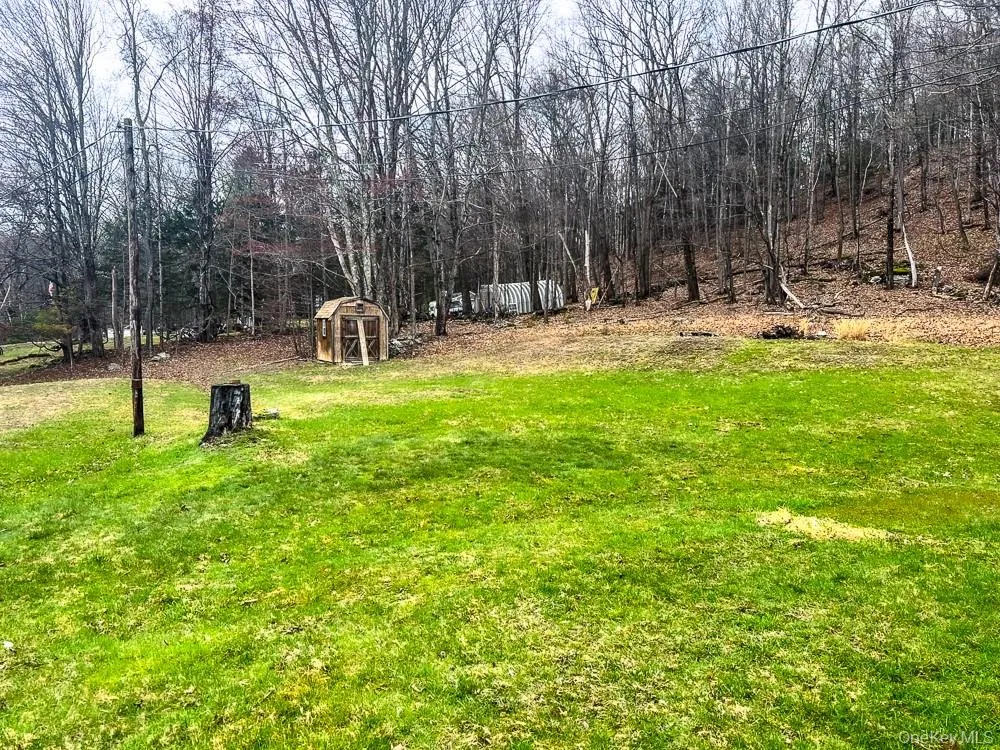 The property features a spacious grassy area with a wooded backdrop The property features a spacious grassy area with a wooded backdrop