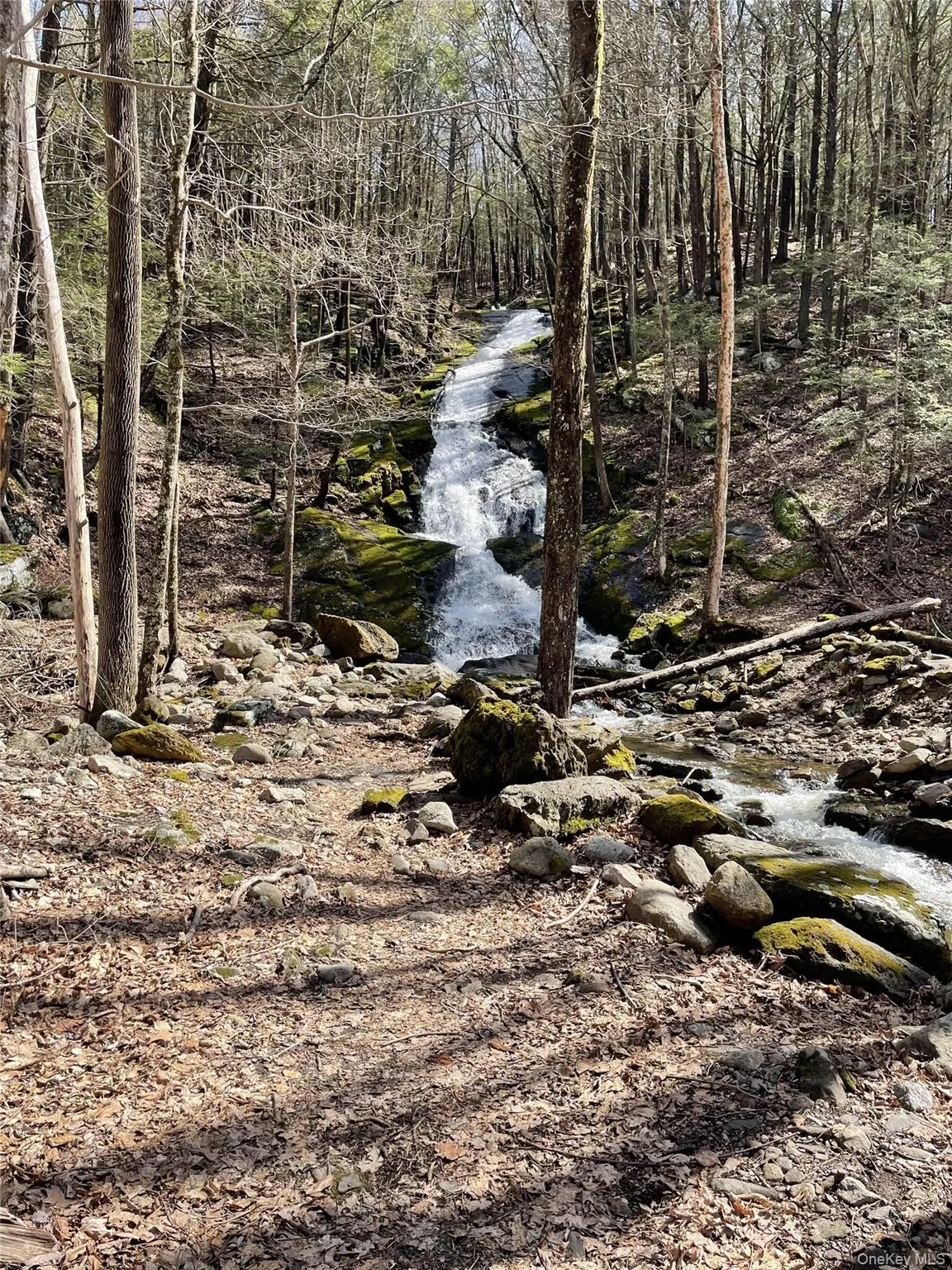 Nearby waterfall Nearby waterfall