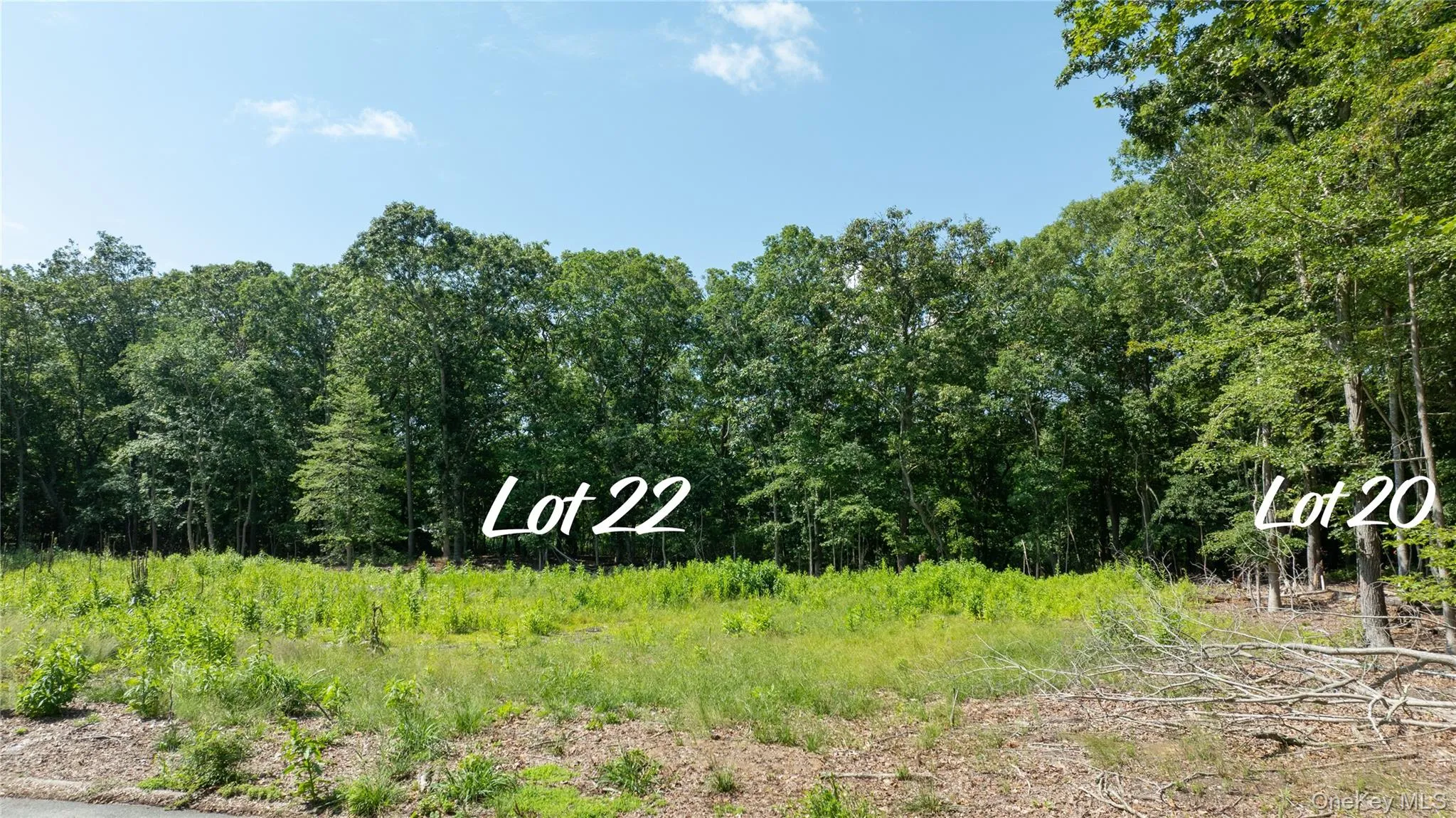 22 Inlet View Path, Brookhaven, NY, ,Land,For Rent,Inlet View,0,982767 22 Inlet View Path, Brookhaven, NY, ,Land,For Rent,Inlet View,0,982767