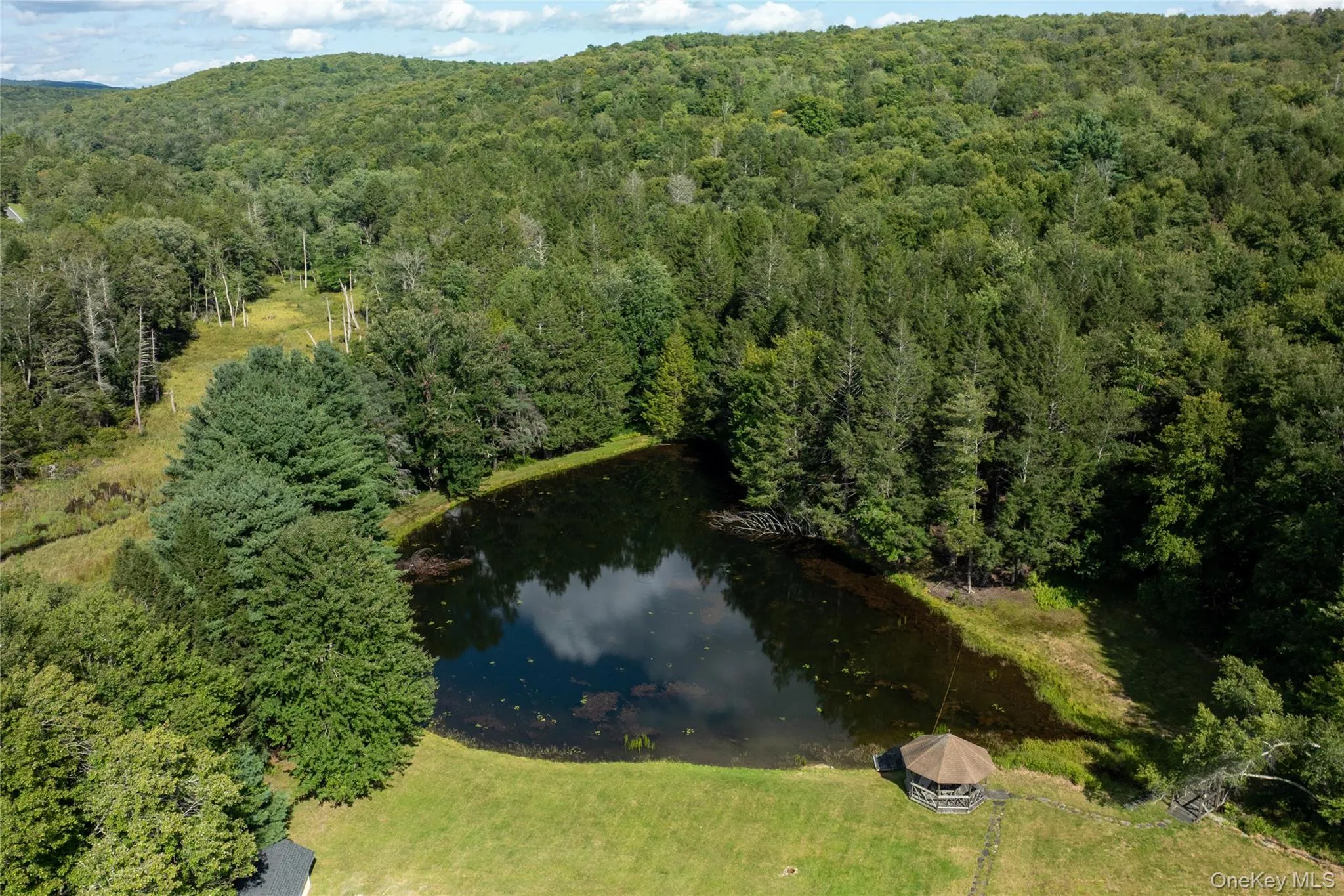 6652 State Route 42, Fallsburg, NY, 3 Bedrooms Bedrooms, 8 Rooms Rooms,2 BathroomsBathrooms,Residential,For Rent,State Route 42,0,982817 6652 State Route 42, Fallsburg, NY, 3 Bedrooms Bedrooms, 8 Rooms Rooms,2 BathroomsBathrooms,Residential,For Rent,State Route 42,0,982817