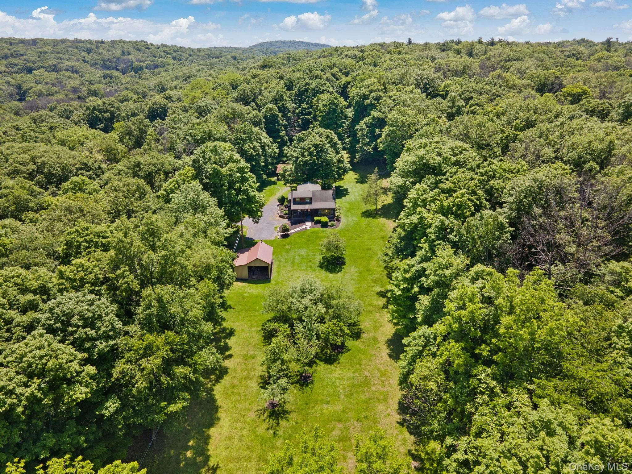 Aerial view of a forest Aerial view of a forest