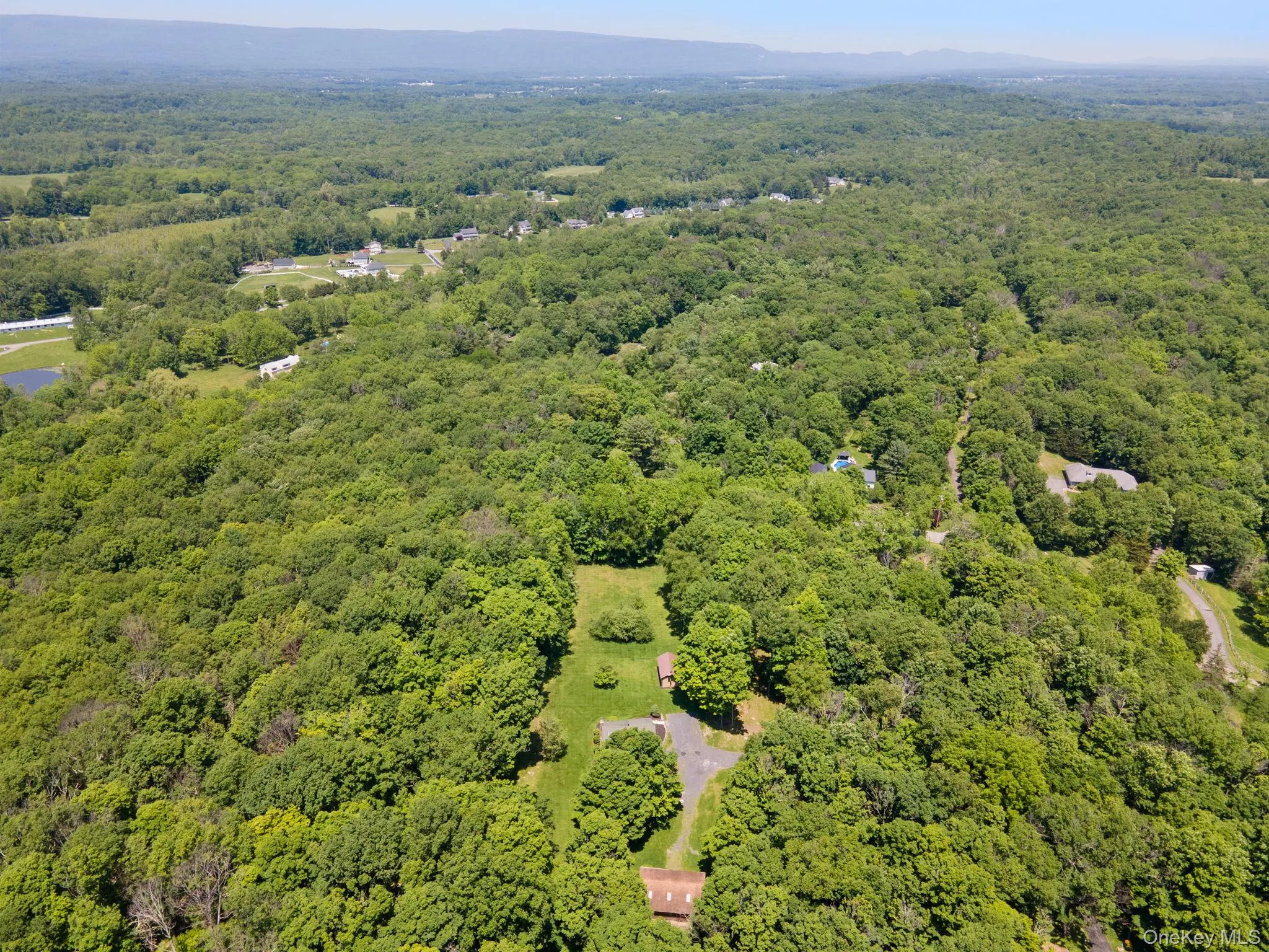 Aerial view of a forest Aerial view of a forest
