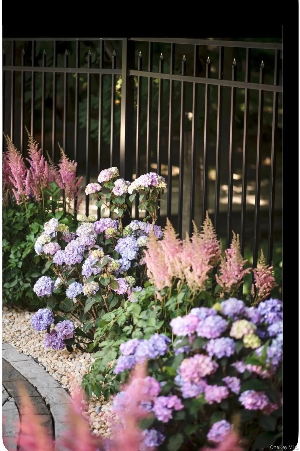 Abundant Hydrangeas surround the pool adding color during summer and fall. Abundant Hydrangeas surround the pool adding color during summer and fall.