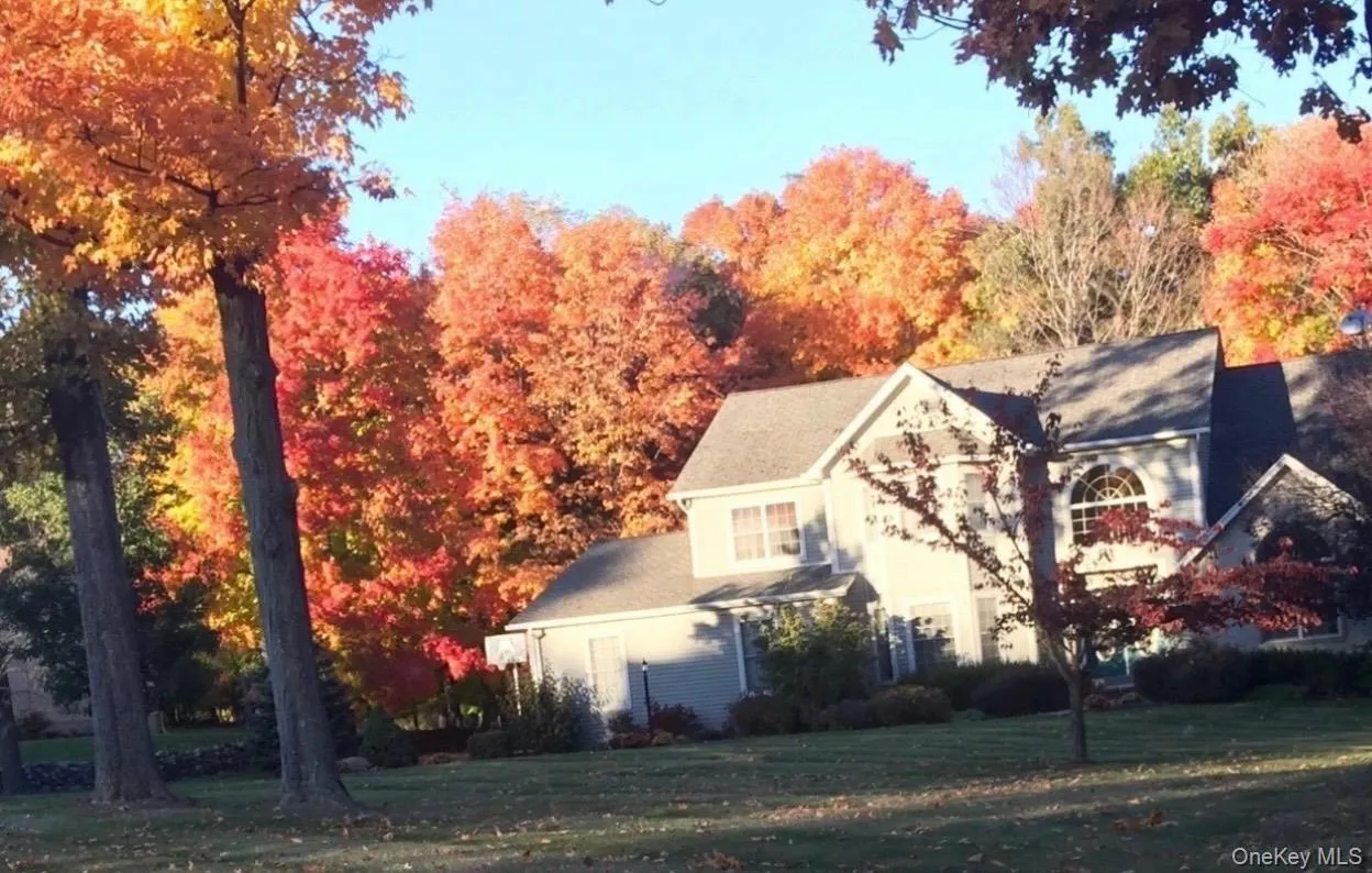 Gorgeous fall foliage. Gorgeous fall foliage.