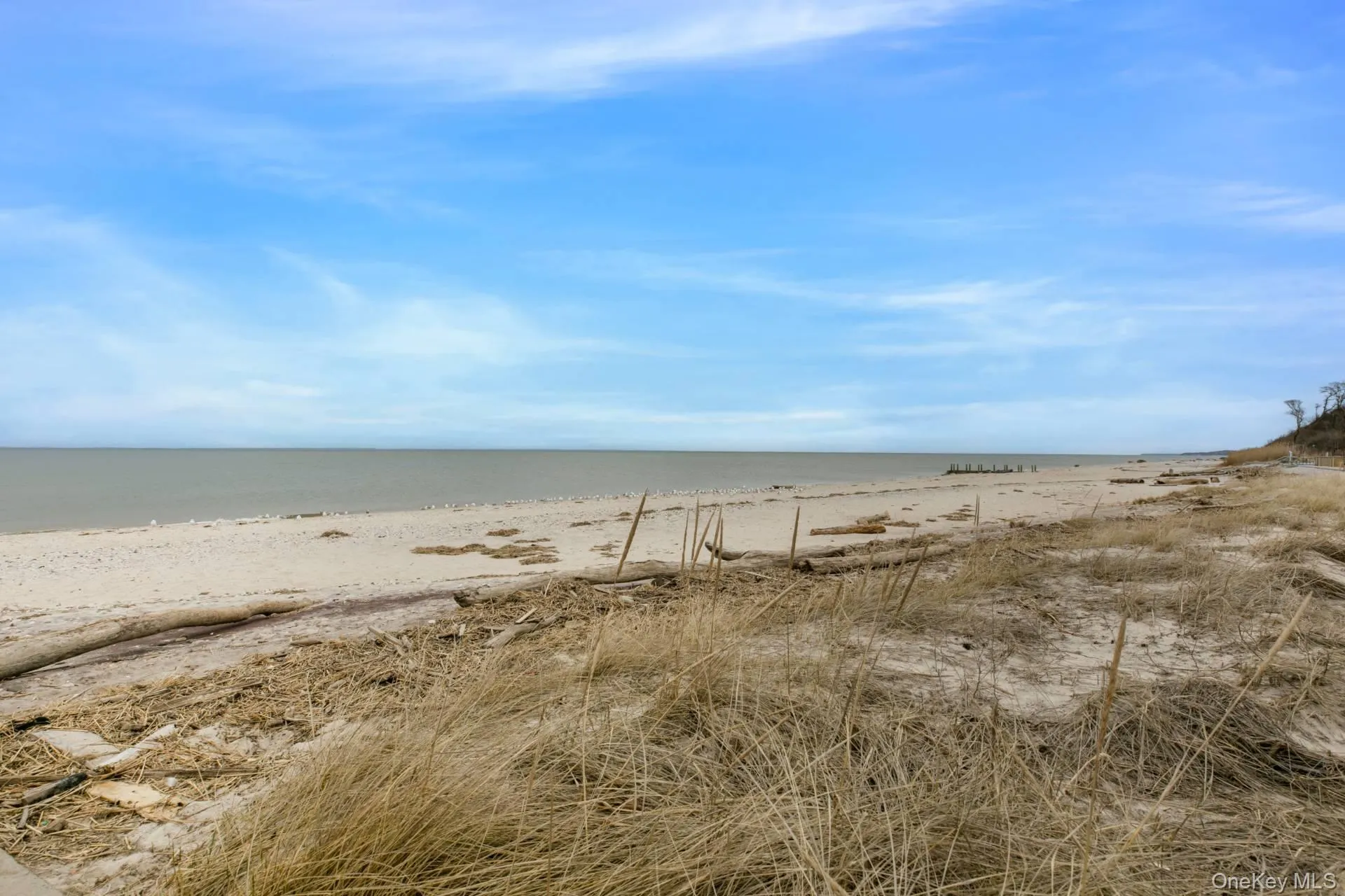47 Pier Avenue, Riverhead, NY, 3 Bedrooms Bedrooms, 10 Rooms Rooms,2 BathroomsBathrooms,Residential,For Rent,Pier,0,982974 47 Pier Avenue, Riverhead, NY, 3 Bedrooms Bedrooms, 10 Rooms Rooms,2 BathroomsBathrooms,Residential,For Rent,Pier,0,982974