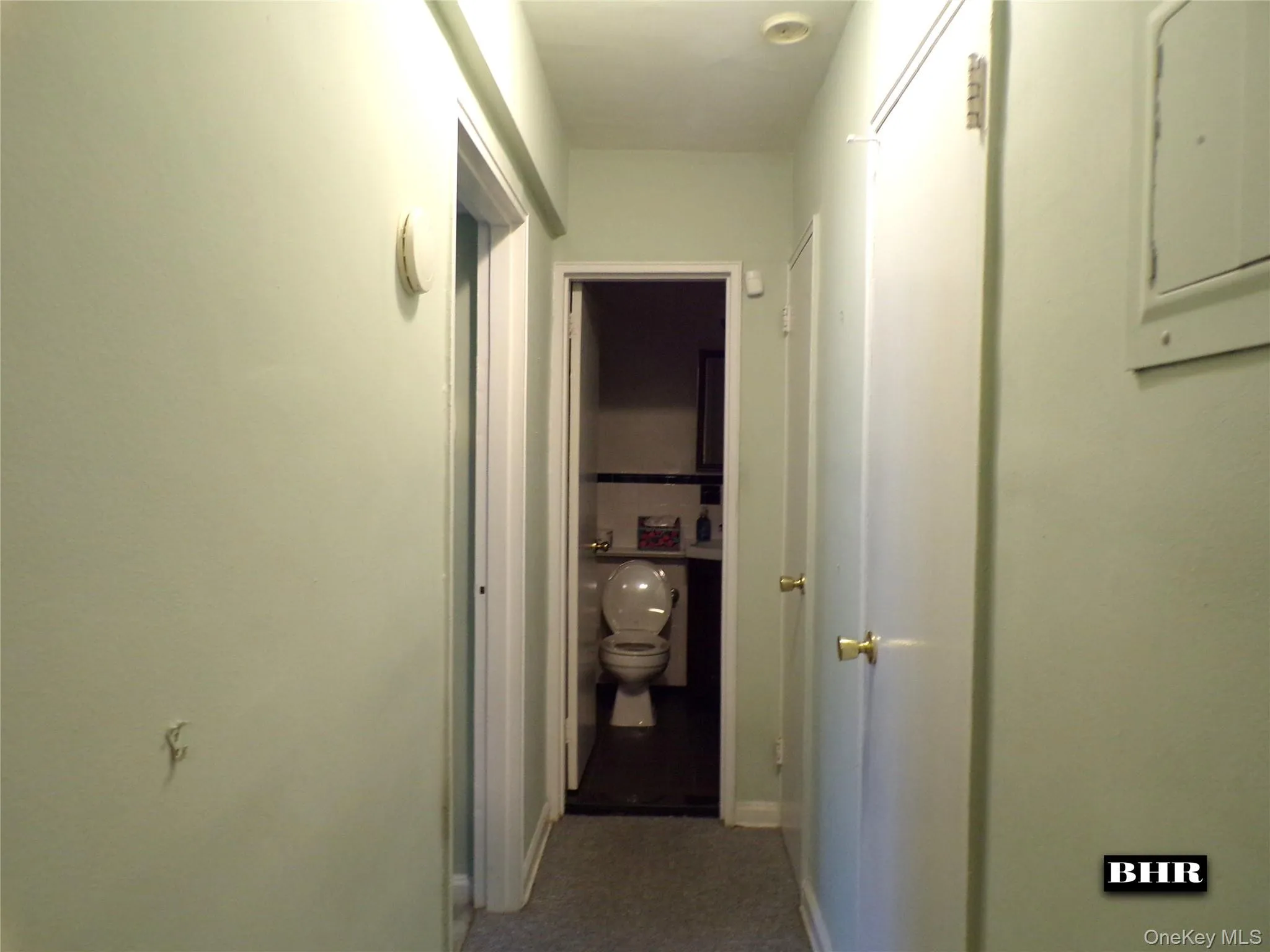 2265 Gerritsen Avenue, New York, NY, 1 Bedroom Bedrooms, 4 Rooms Rooms,1 BathroomBathrooms,Residential,For Rent,Gerritsen,0,982975 2265 Gerritsen Avenue, New York, NY, 1 Bedroom Bedrooms, 4 Rooms Rooms,1 BathroomBathrooms,Residential,For Rent,Gerritsen,0,982975