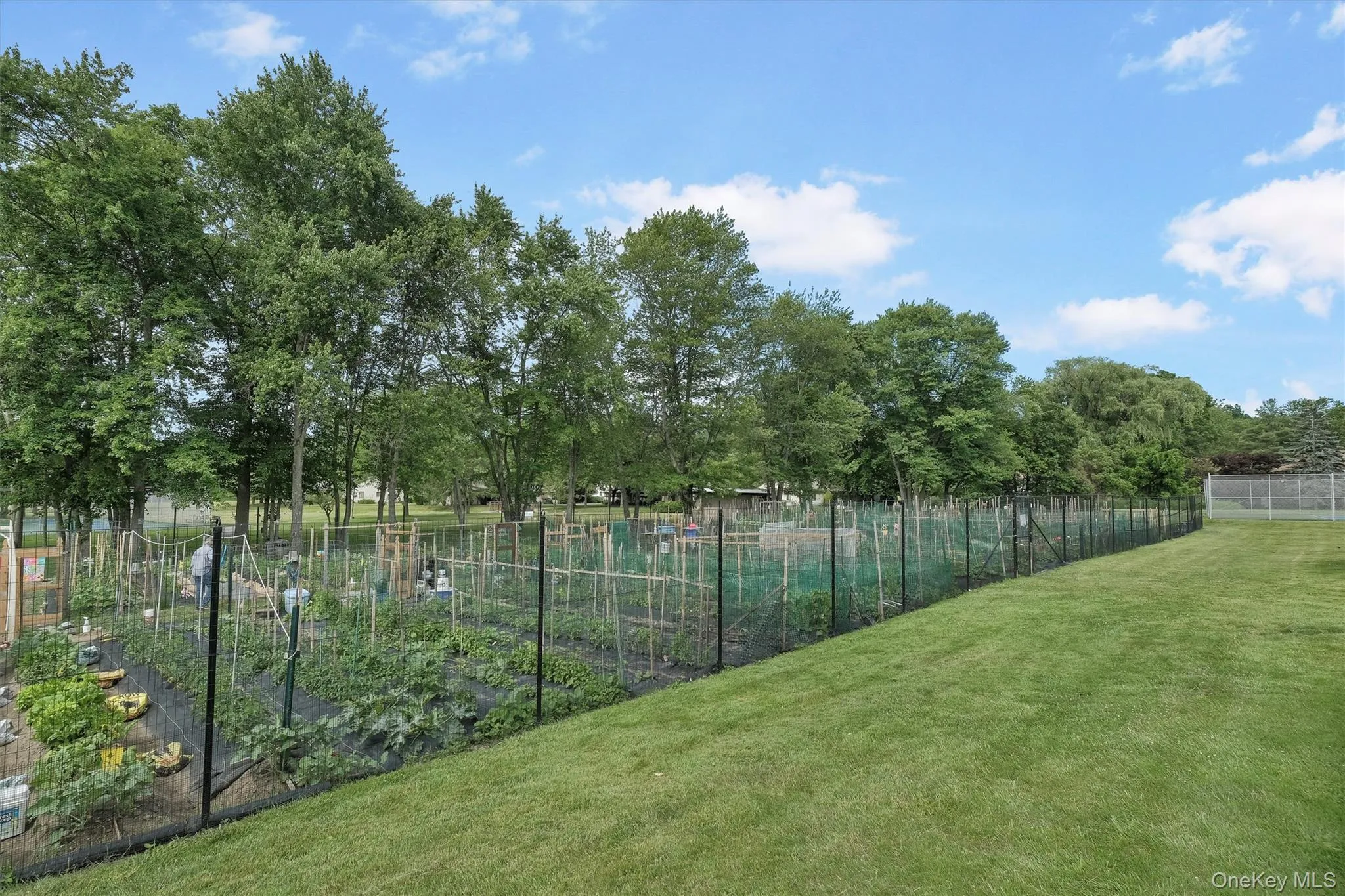 51 Jefferson Oval, Yorktown, NY, 2 Bedrooms Bedrooms, 7 Rooms Rooms,2 BathroomsBathrooms,Residential,For Rent,Jefferson,0,982984 51 Jefferson Oval, Yorktown, NY, 2 Bedrooms Bedrooms, 7 Rooms Rooms,2 BathroomsBathrooms,Residential,For Rent,Jefferson,0,982984