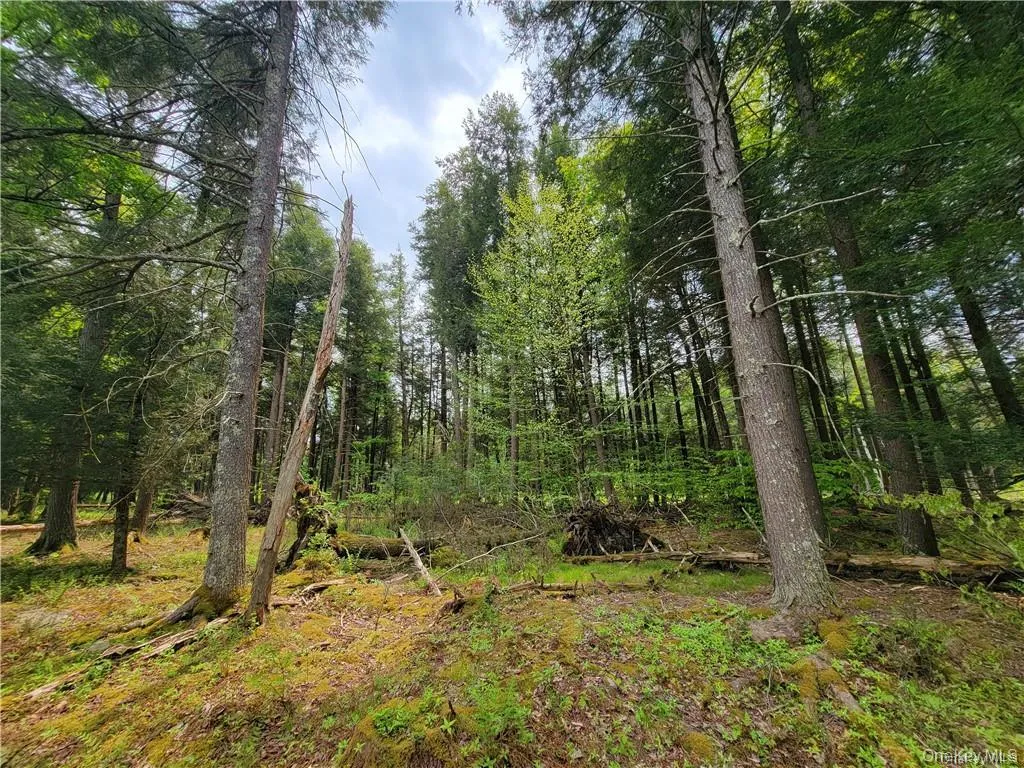 172 Eagles Ridge Way, Liberty, NY, ,Land,For Rent,Eagles Ridge,0,KEY983031 172 Eagles Ridge Way, Liberty, NY, ,Land,For Rent,Eagles Ridge,0,KEY983031