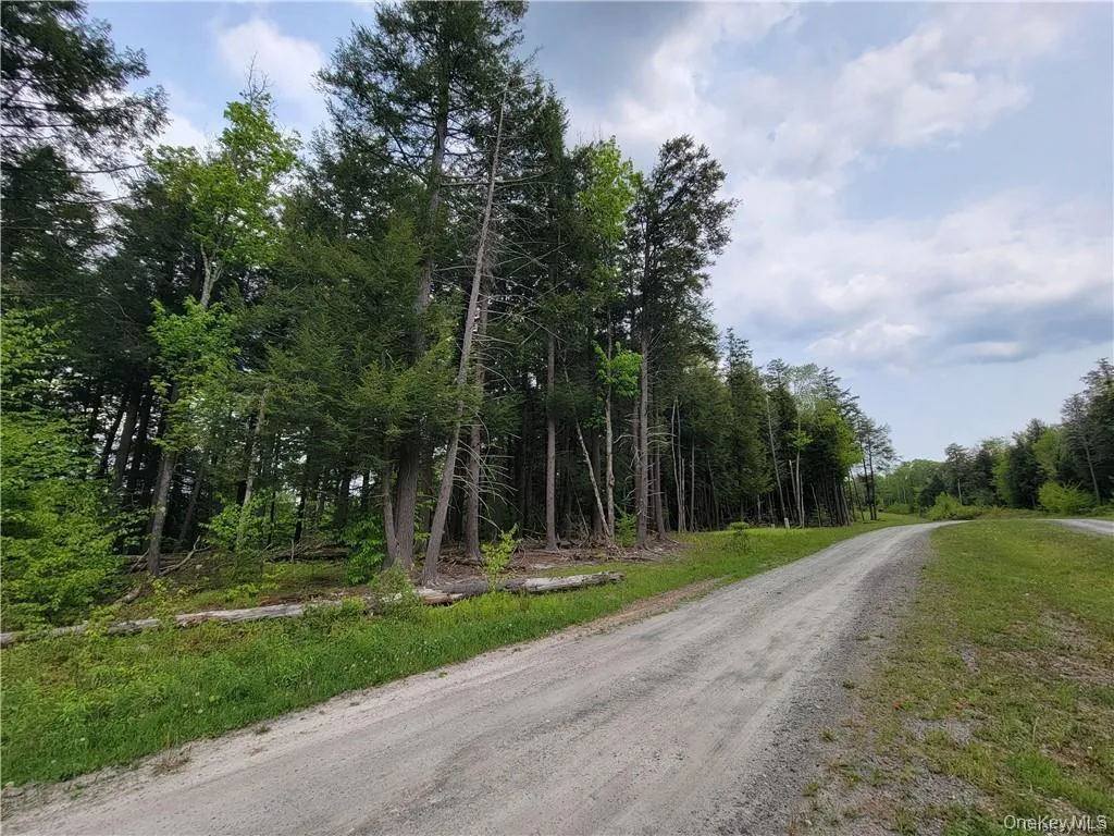 172 Eagles Ridge Way, Liberty, NY, ,Land,For Rent,Eagles Ridge,0,KEY983031 172 Eagles Ridge Way, Liberty, NY, ,Land,For Rent,Eagles Ridge,0,KEY983031