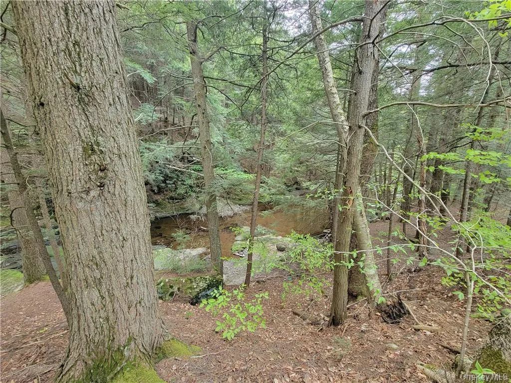 172 Eagles Ridge Way, Liberty, NY, ,Land,For Rent,Eagles Ridge,0,KEY983031 172 Eagles Ridge Way, Liberty, NY, ,Land,For Rent,Eagles Ridge,0,KEY983031
