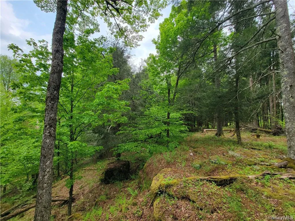 172 Eagles Ridge Way, Liberty, NY, ,Land,For Rent,Eagles Ridge,0,KEY983031 172 Eagles Ridge Way, Liberty, NY, ,Land,For Rent,Eagles Ridge,0,KEY983031