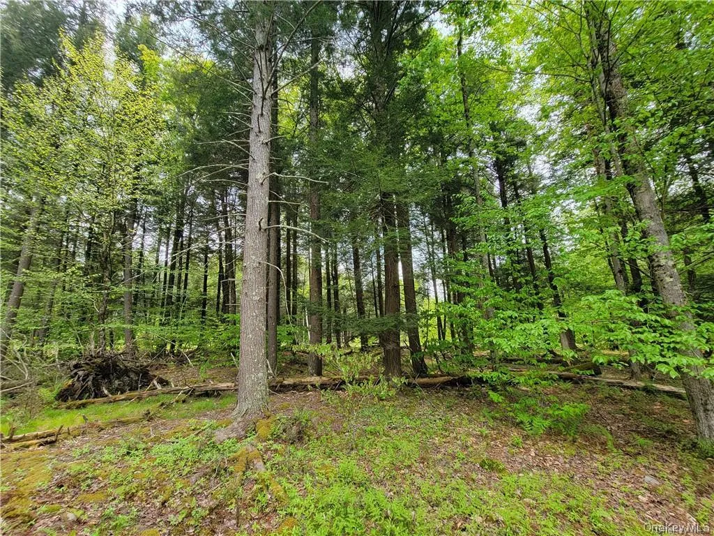 172 Eagles Ridge Way, Liberty, NY, ,Land,For Rent,Eagles Ridge,0,KEY983031 172 Eagles Ridge Way, Liberty, NY, ,Land,For Rent,Eagles Ridge,0,KEY983031