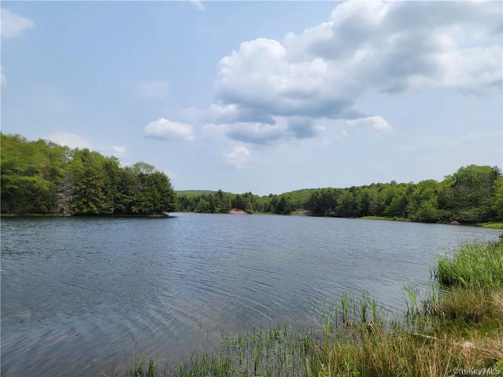 Tanzman Lake Tanzman Lake