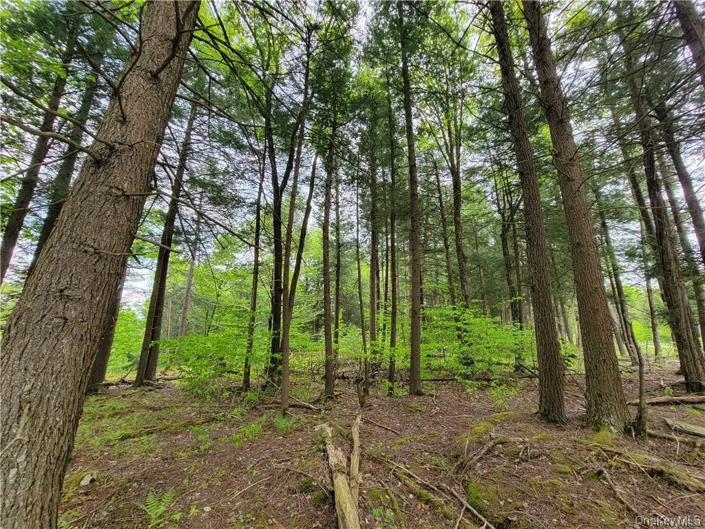 172 Eagles Ridge Way, Liberty, NY, ,Land,For Rent,Eagles Ridge,0,KEY983031 172 Eagles Ridge Way, Liberty, NY, ,Land,For Rent,Eagles Ridge,0,KEY983031
