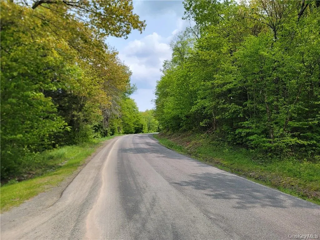 172 Eagles Ridge Way, Liberty, NY, ,Land,For Rent,Eagles Ridge,0,KEY983031 172 Eagles Ridge Way, Liberty, NY, ,Land,For Rent,Eagles Ridge,0,KEY983031
